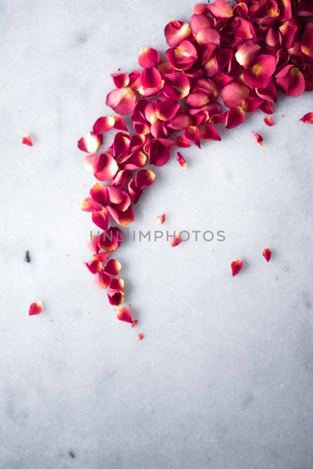 rose petals on marble flatlay - wedding, holiday and floral background styled concept, elegant visuals