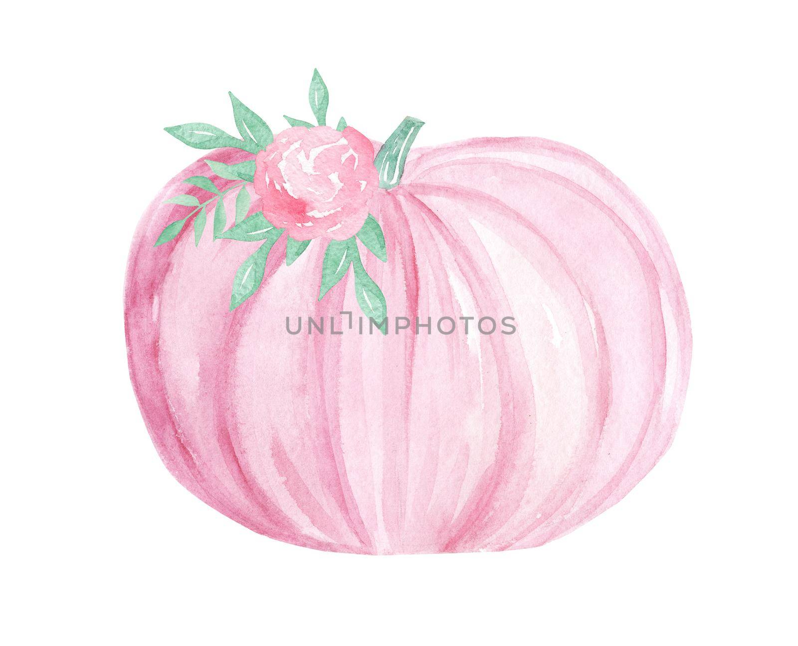 Watercolor cute pink pumpkin with floral decor isolated on white background