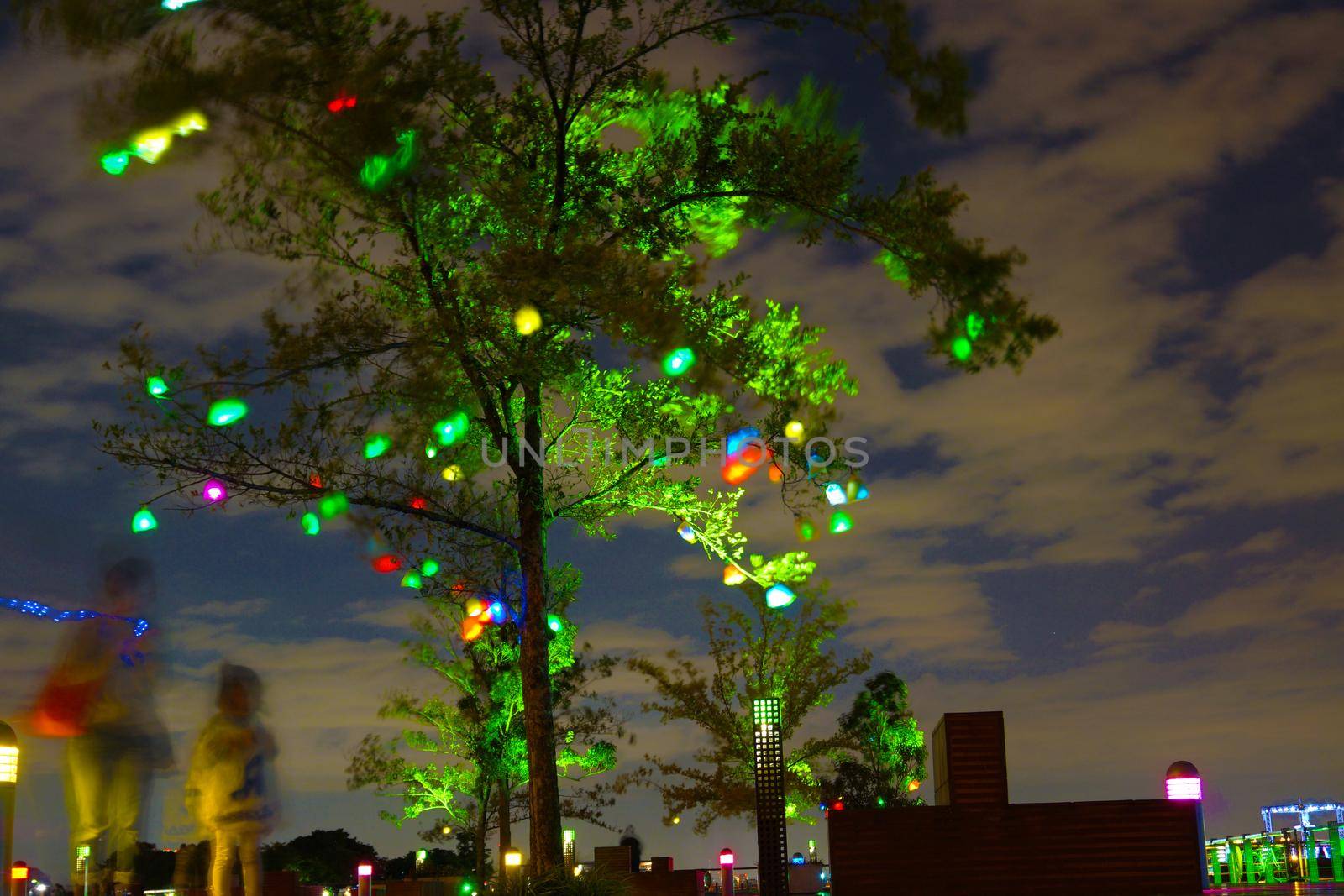 Glow tree. Shooting Location: Yokohama-city kanagawa prefecture