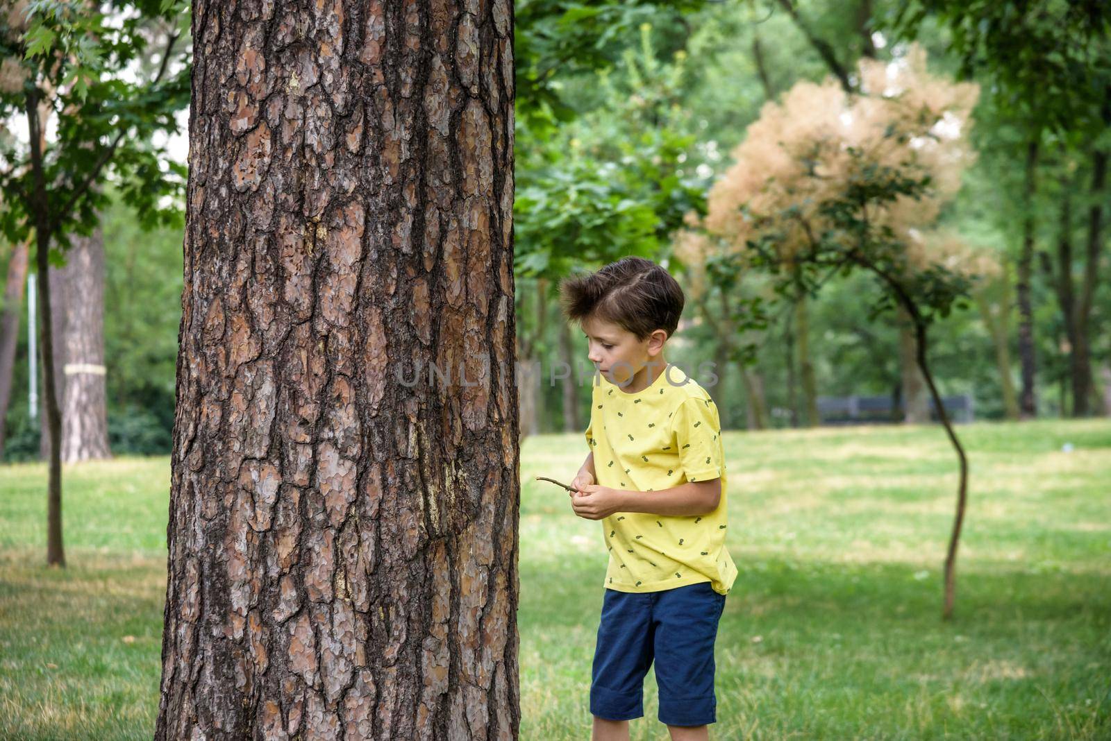 Boy 7 years old white Caucasian looks attentively at the tree while standing in the forest near a beech tree in early summer or spring..