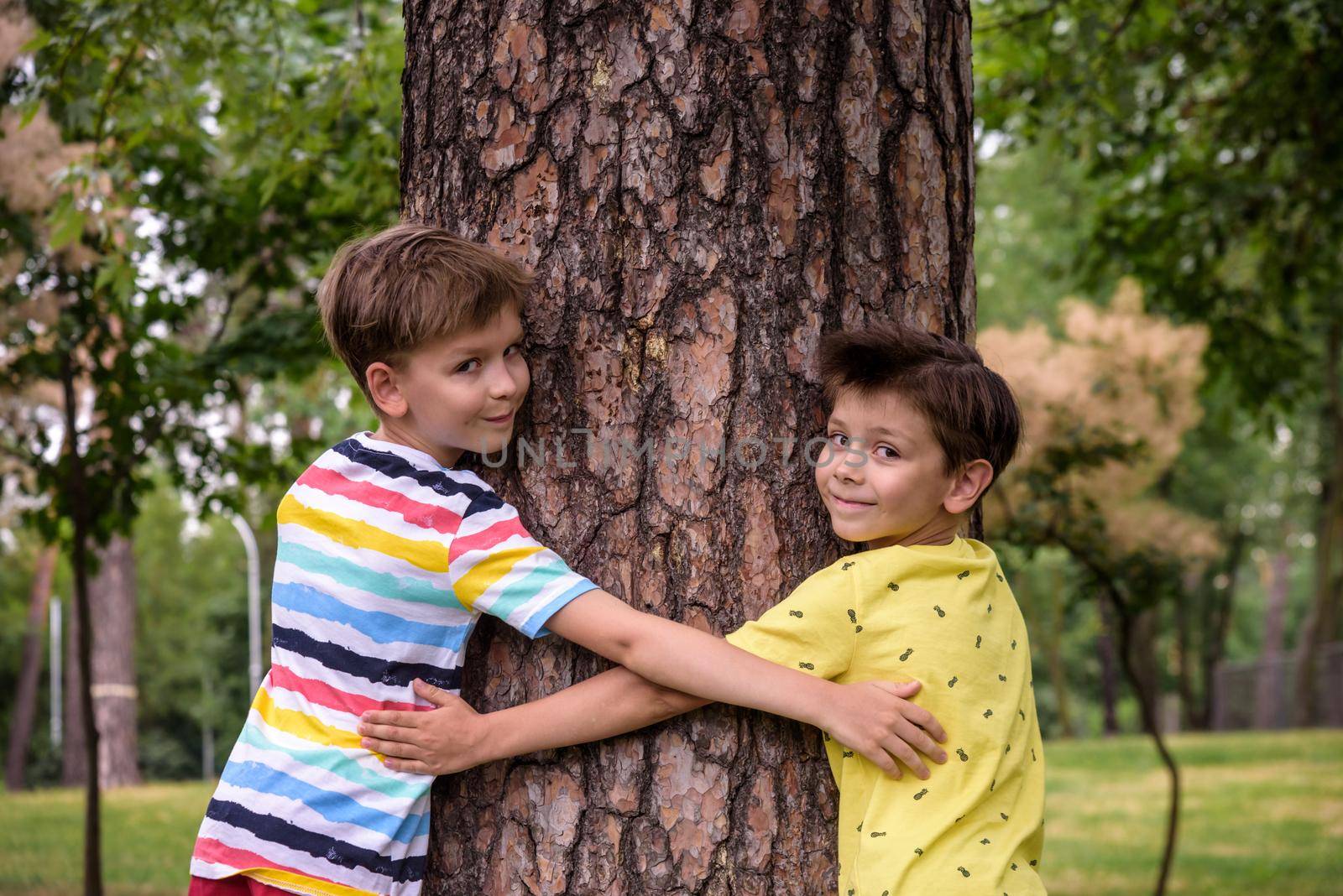 Two Little boys hugs a tree trunk - children love the nature, sustainability concept. Save the nature.