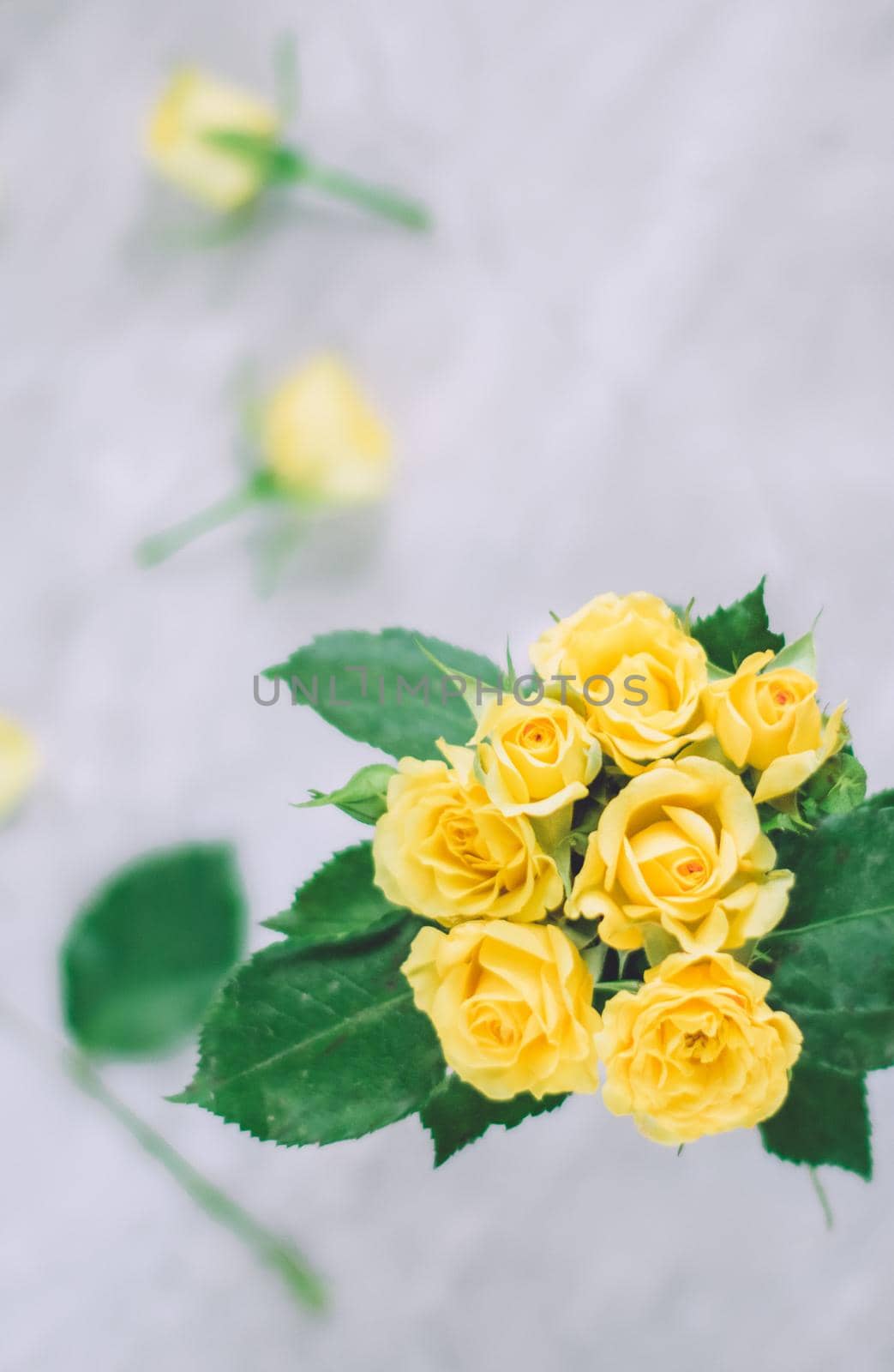 yellow roses - wedding, holiday and floral garden styled concept, elegant visuals