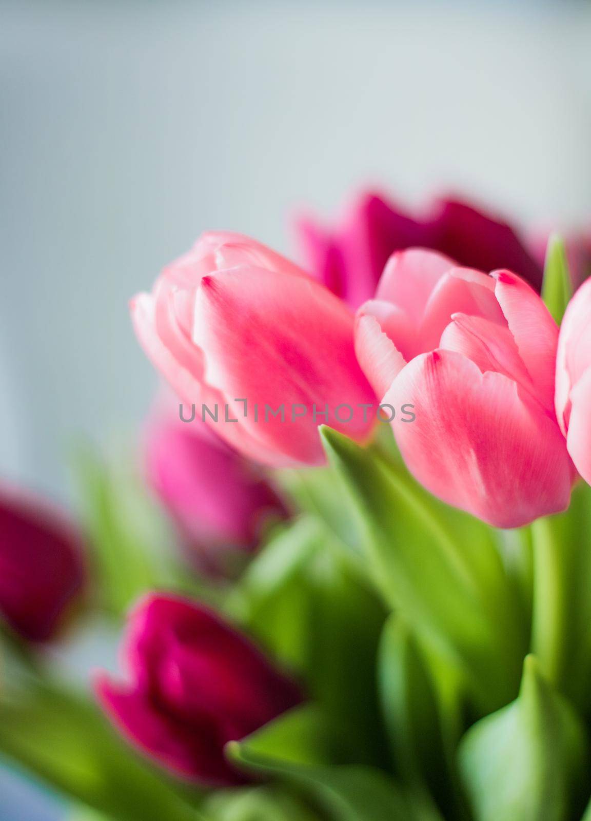 tulip bouquet - wedding, holiday and floral garden styled concept, elegant visuals