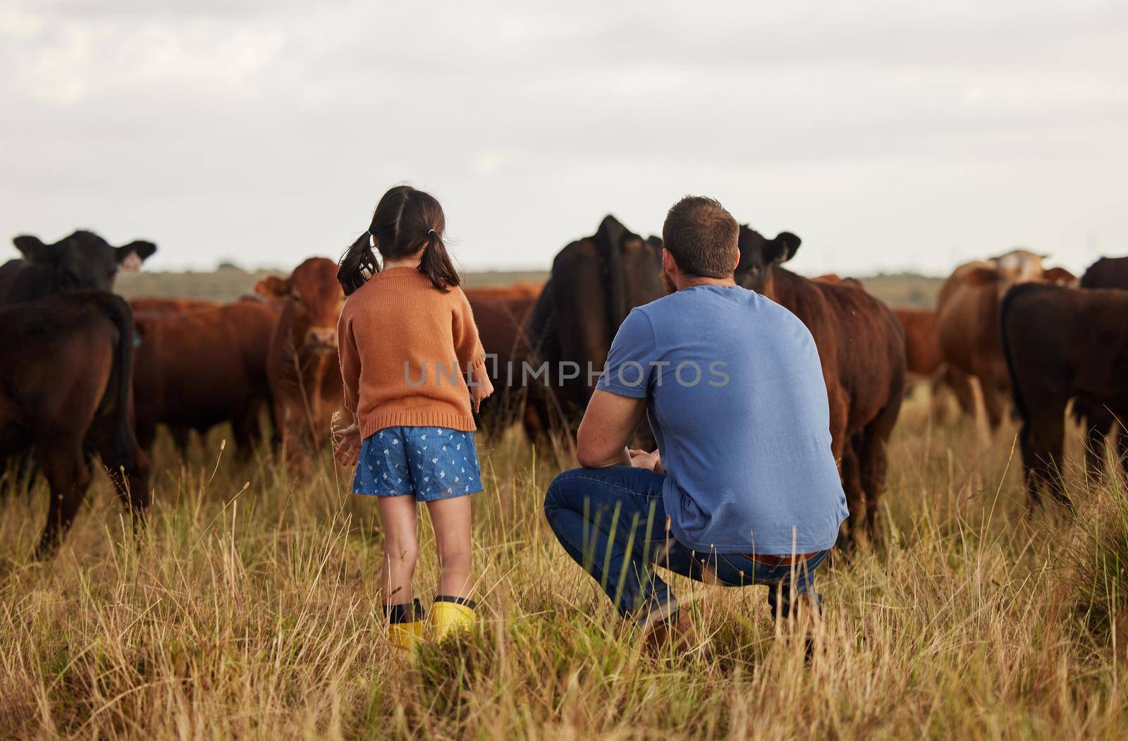 Father and daughter bonding at a cattle farm, having fun and learning how to care for livestock. Parent and child enjoying outdoors in nature, looking at cows and talking. Farmer showing kid animals.