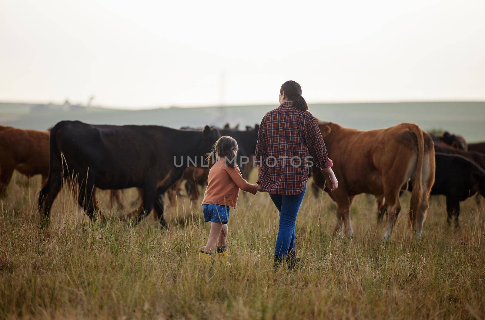 Cow farmer, mother and girl on farm, agriculture nature or cattle sustainability countryside field. Family bonding and working on healthy environment for cattle in meat, beef or food industry by YuriArcurs