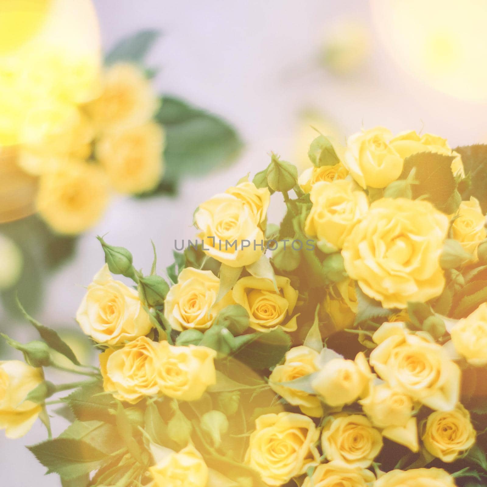 bouquet of yellow roses in sunlight - springtime, mother's day and holiday concept by Anneleven