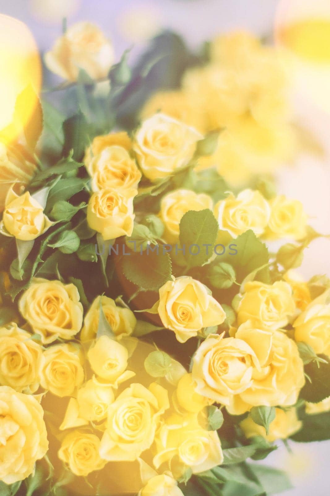 bouquet of yellow roses in sunlight - springtime, mother's day and holiday styled concept