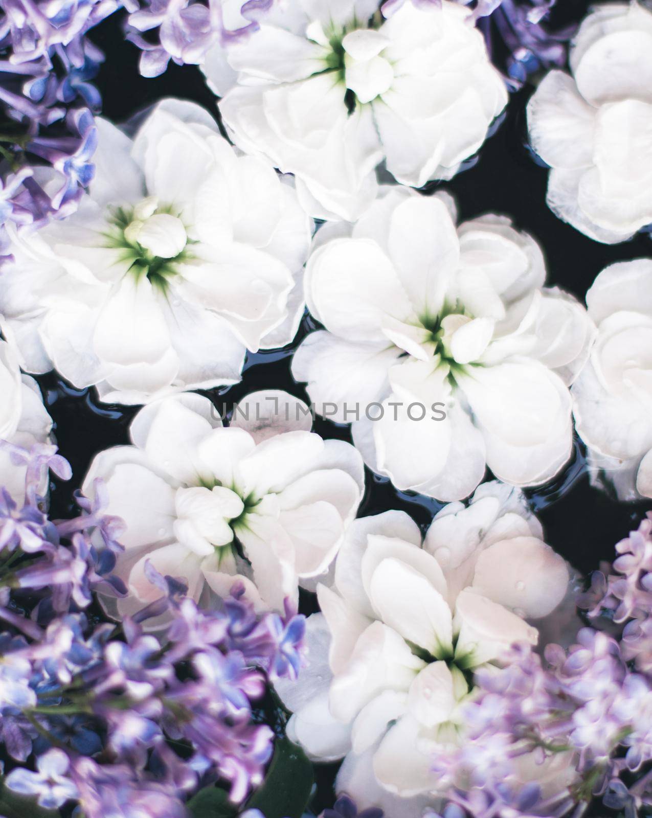 Pretty flowers in springtime - botanical backgrounds, spring and summer nature and dream garden concept. Floral beauty in bloom