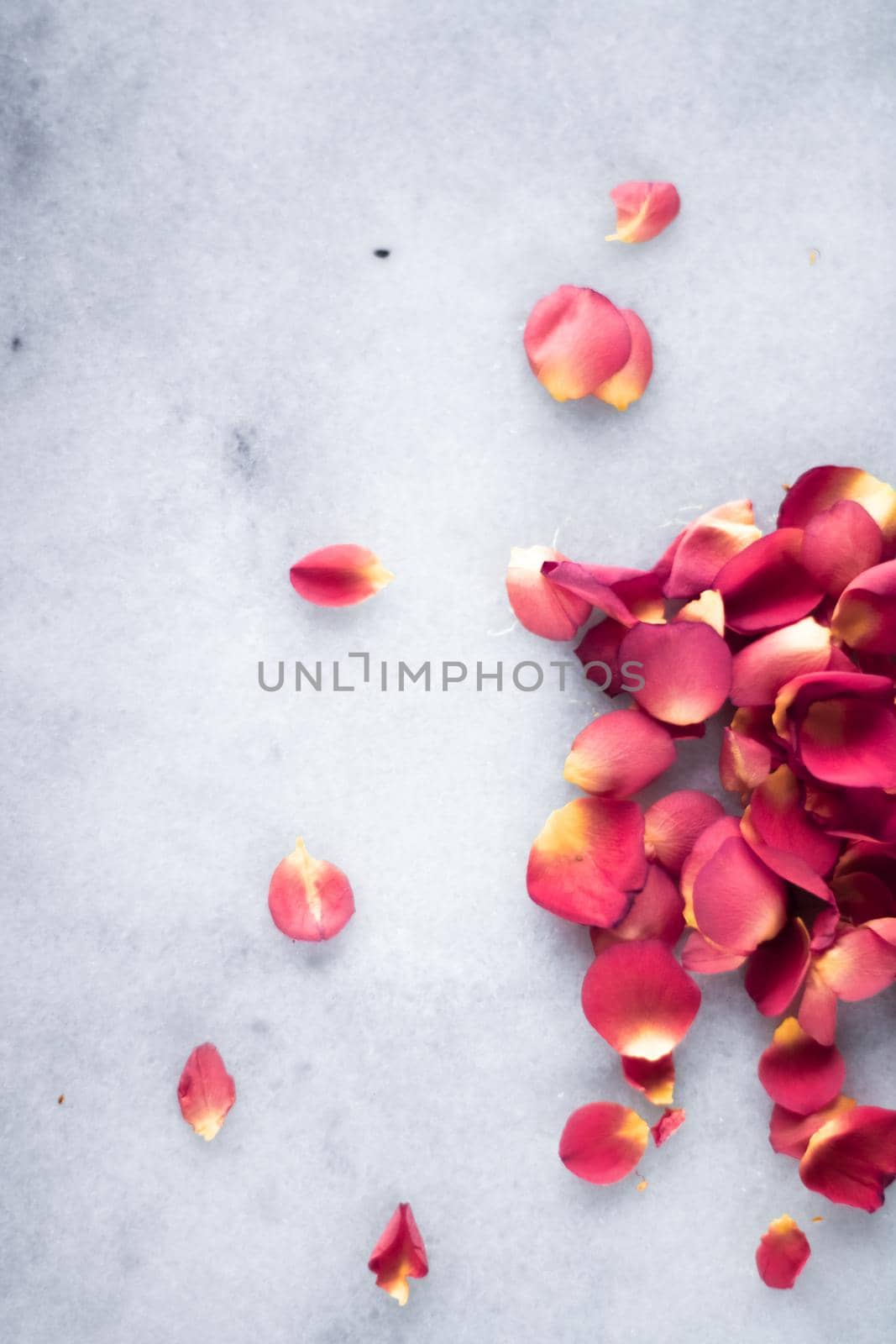 rose petals on marble flatlay - wedding, holiday and floral background styled concept by Anneleven