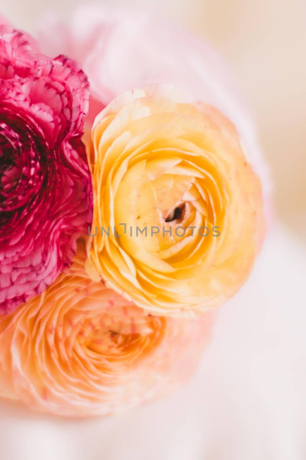 rose flowers bridal bouquet - wedding, holiday and floral garden styled concept by Anneleven