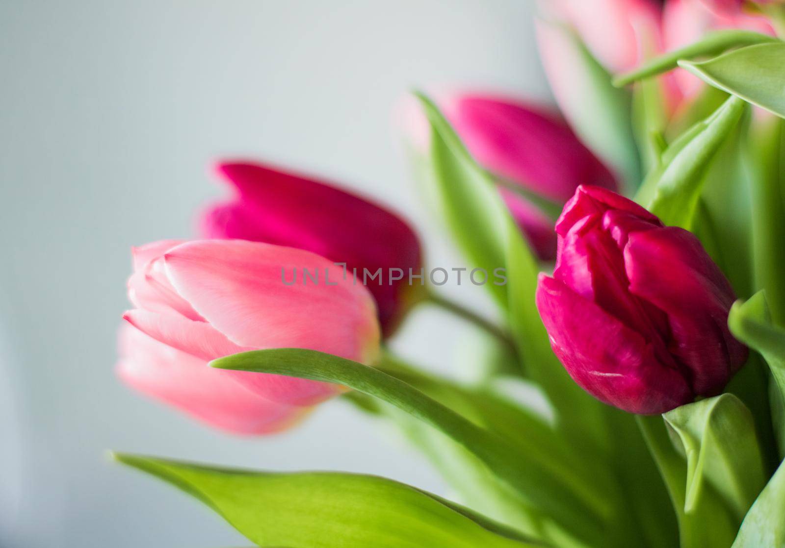tulip bouquet - wedding, holiday and floral garden styled concept by Anneleven