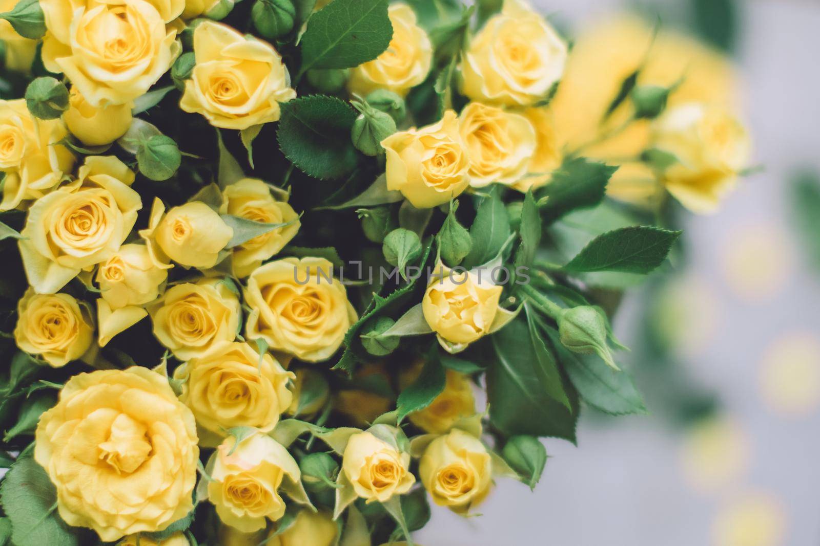 yellow roses - wedding, holiday and floral garden styled concept, elegant visuals