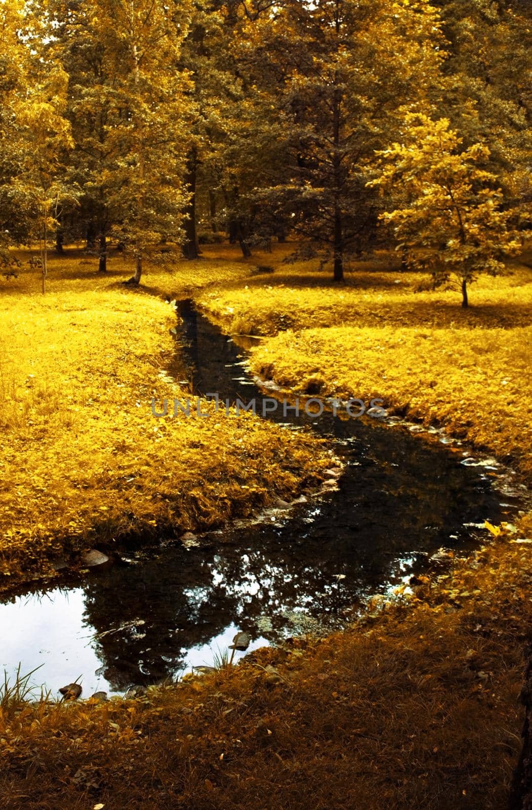 fall scenery, beauty of autumn - nature and environment concept, elegant visuals