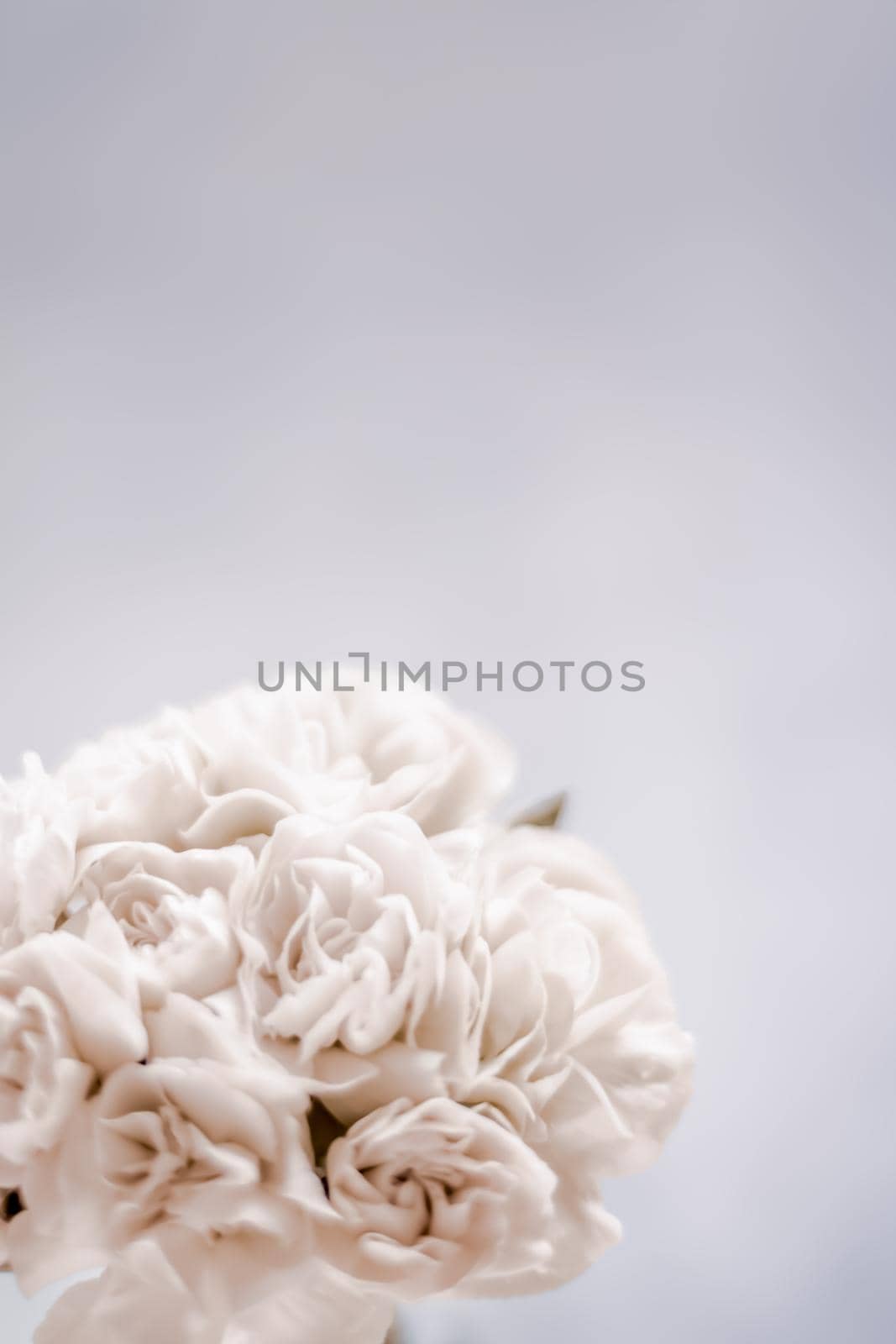 Bridal bouquet of white roses - wedding day, floral beauty, luxury event decoration concept. The happiest day of our lives