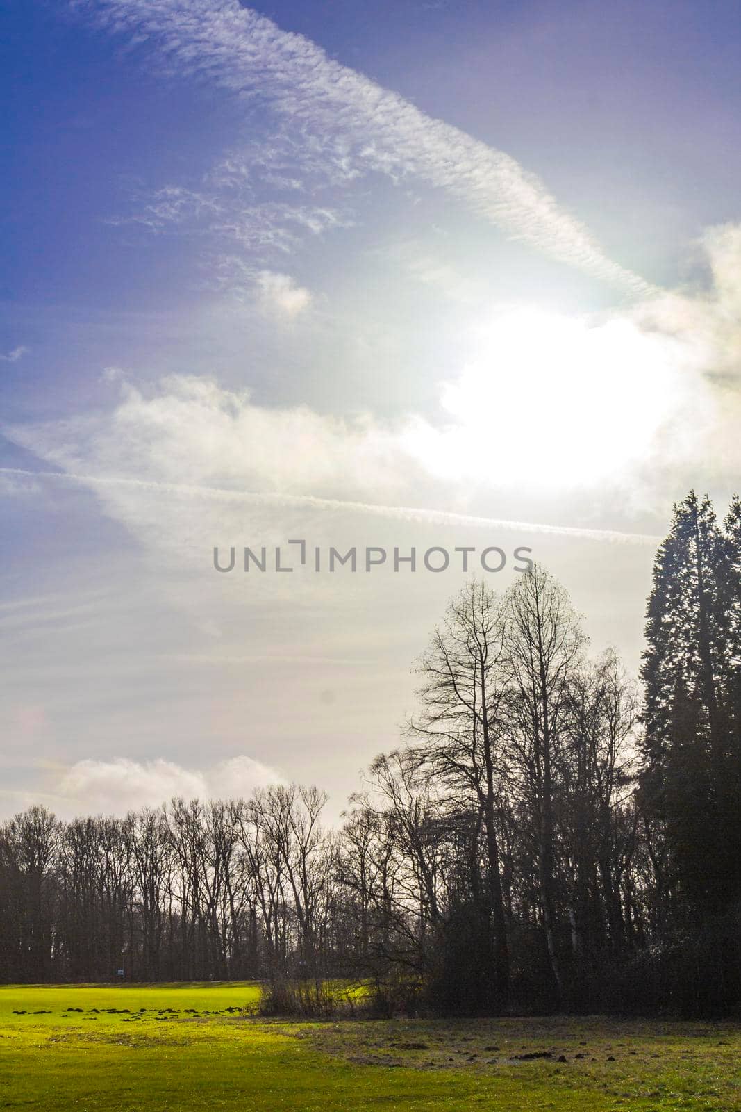 Natural beautiful panorama view with lake river walking pathway and green plants trees in the forest of Speckenbütteler Park in Lehe Bremerhaven Germany.