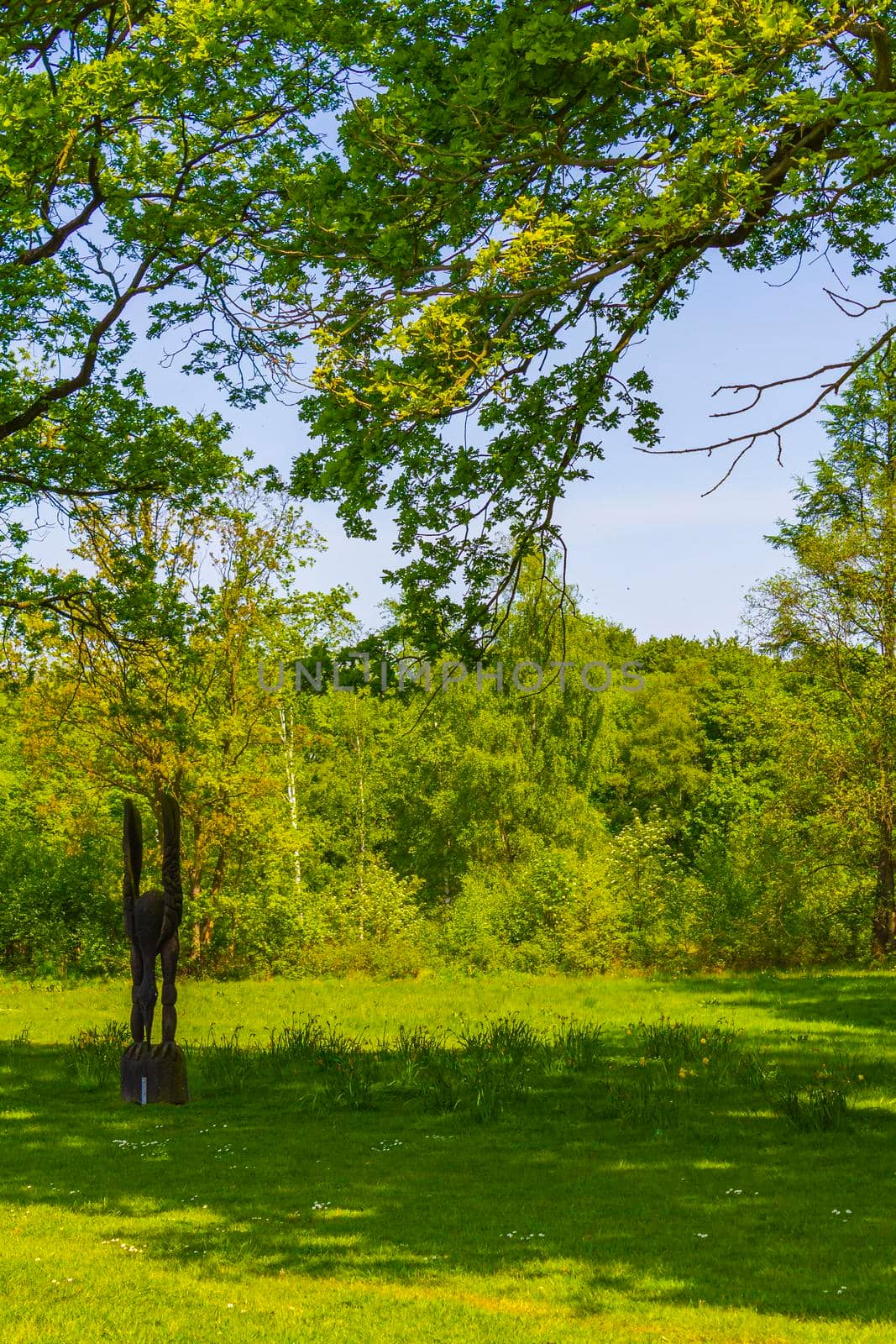 Natural panorama view lake pathway green plants trees forest Germany. by Arkadij