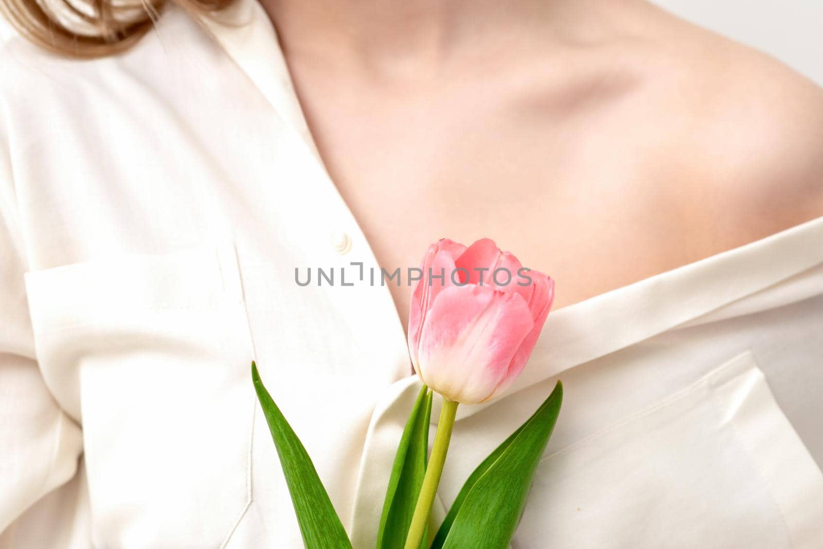 One pink tulip against on background of a young female wearing a white shirt