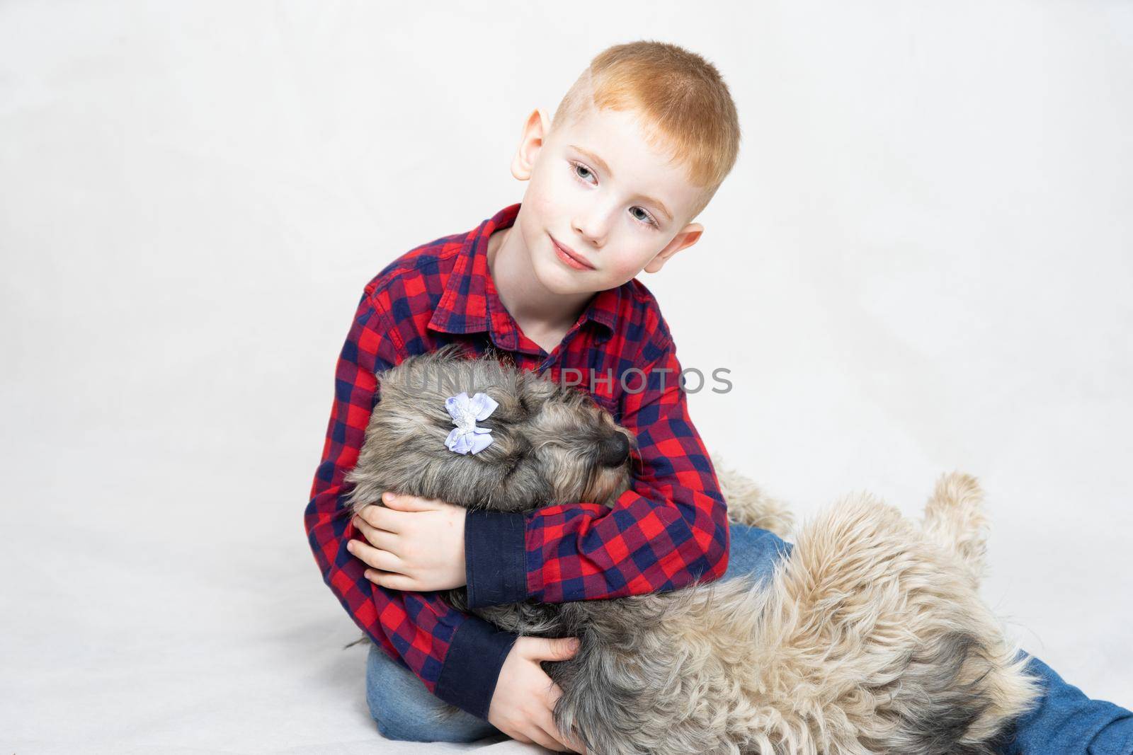a shaggy mongrel dog lies in the boy's arms. The boy hugs his pet and talks, caresses, pats on the head and back