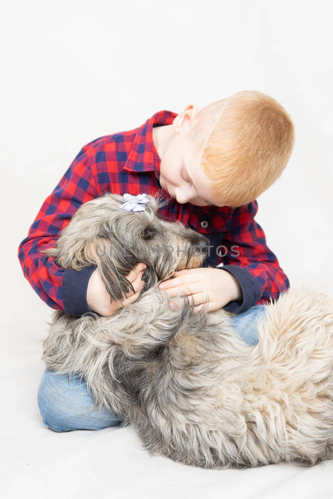 a shaggy mongrel dog lies in the boy's arms. The boy hugs his pet and talks, caresses, strokes by olex