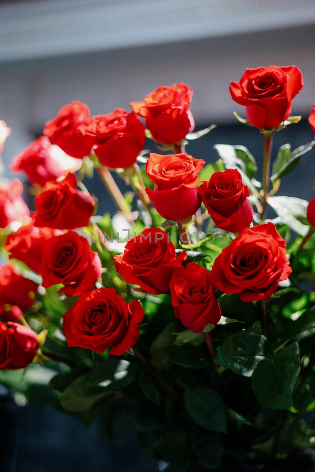 Red roses in a flower shop.Beautiful flowers for a catalog, online store. Flower business. Concept flower store and delivery.