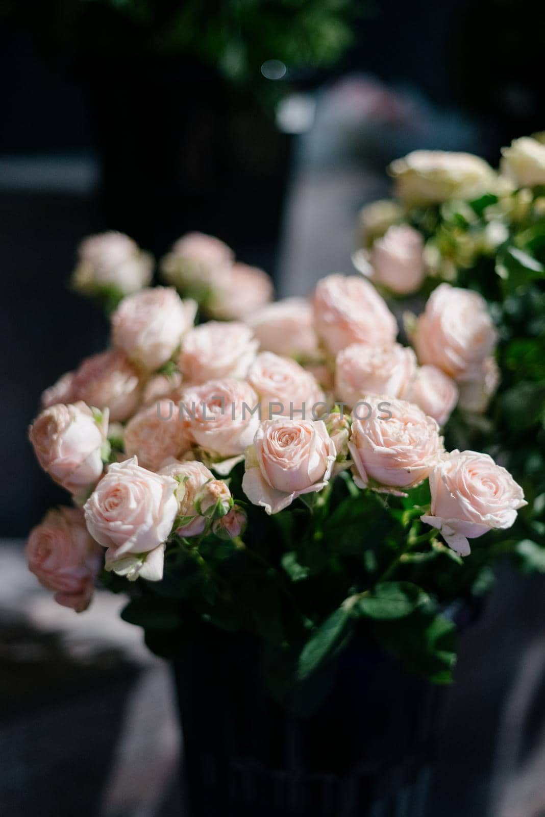 White roses in a flower shop.Beautiful flowers for a catalog, online store. Flower business. Concept flower store and delivery.