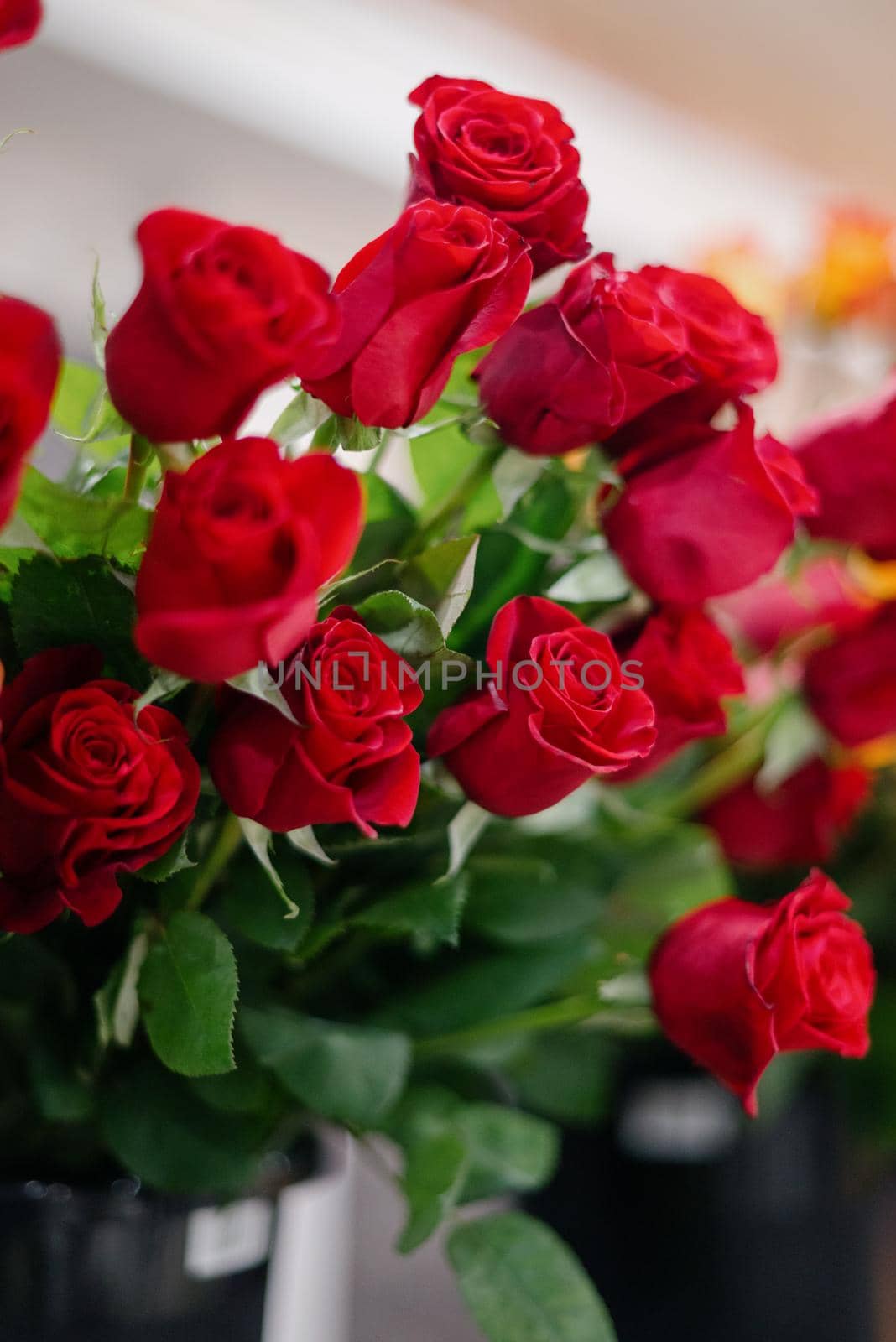 Red roses in a flower shop.Flowers in a flower shop. Concept flower store and delivery.