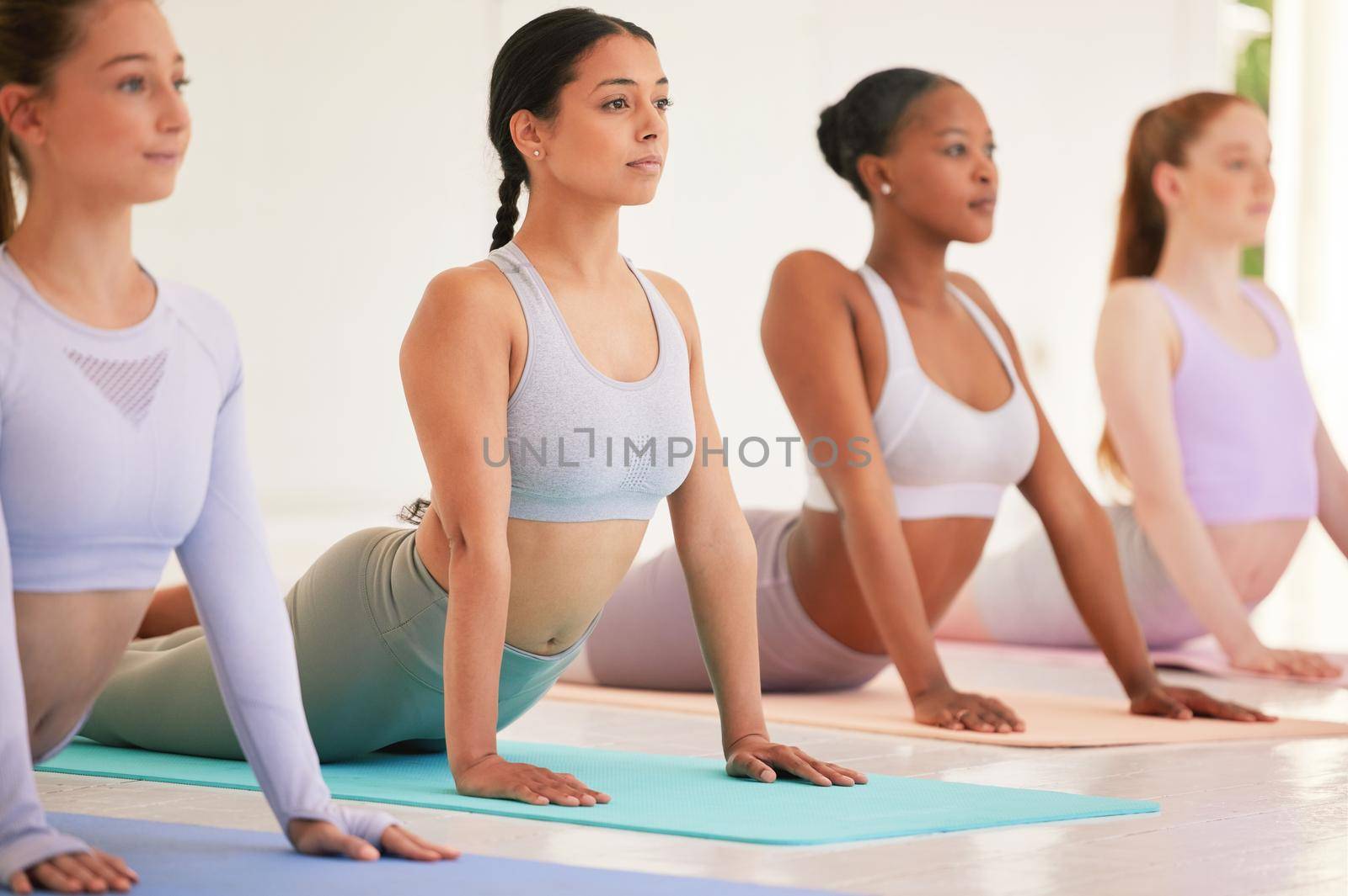 Yoga, stretching or pilates friends class for diverse group of women in upward facing dog pose in studio. Fit, calm or zen and serene or relaxed females in healthy holistic exercise for back mobility.
