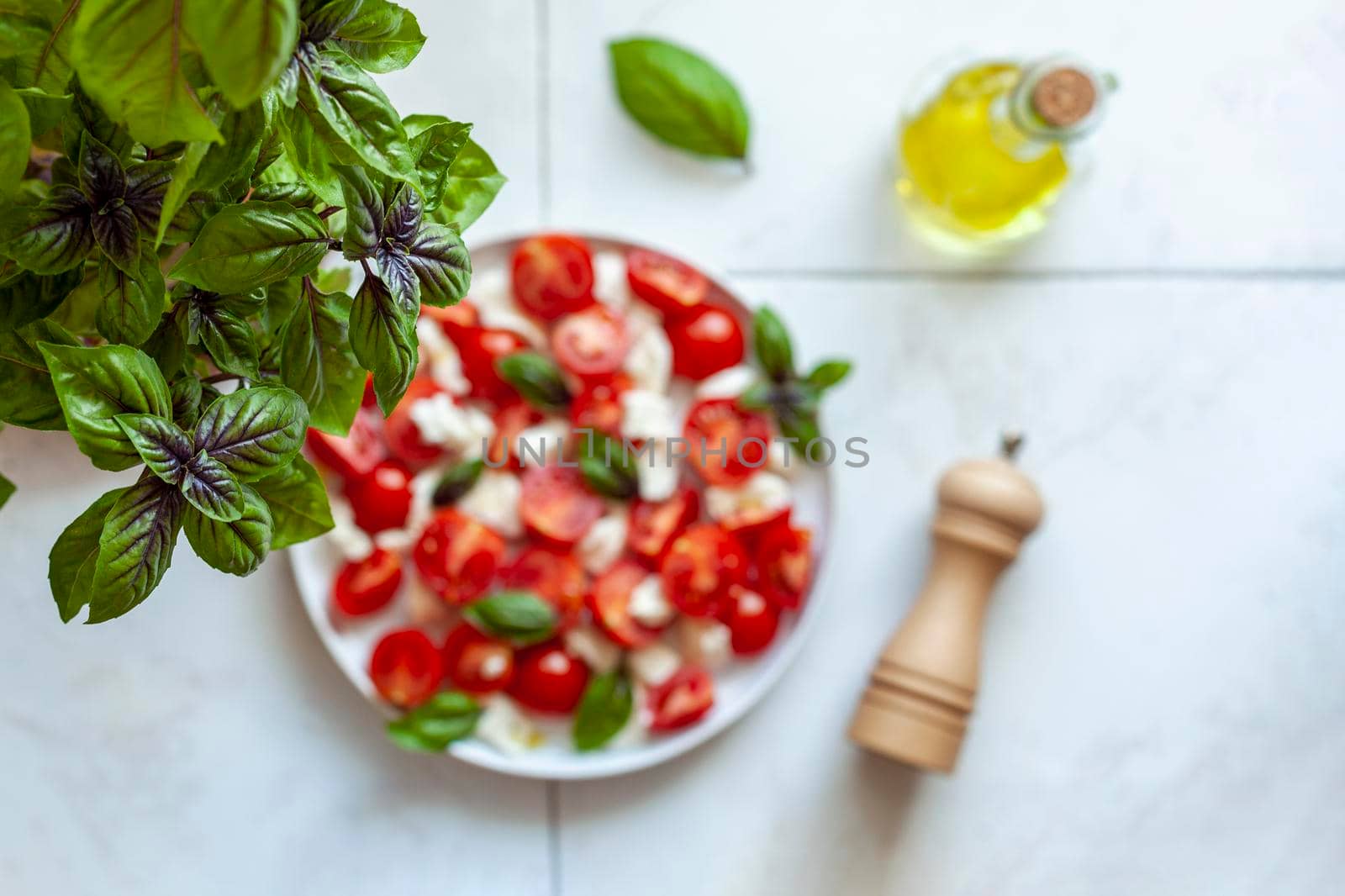 caprese salad served under the red, basil plant, home gardening concept, top view, focus on the basil plant