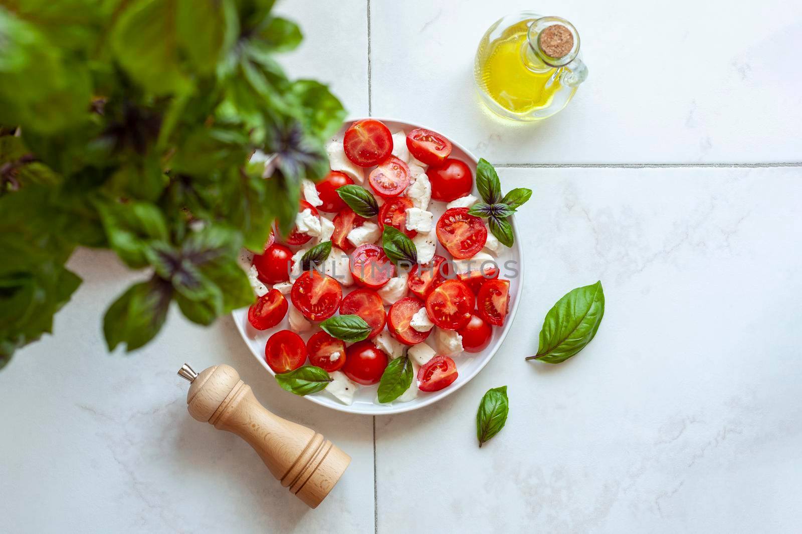 caprese salad under the basil plant, idea of home gardening, top view