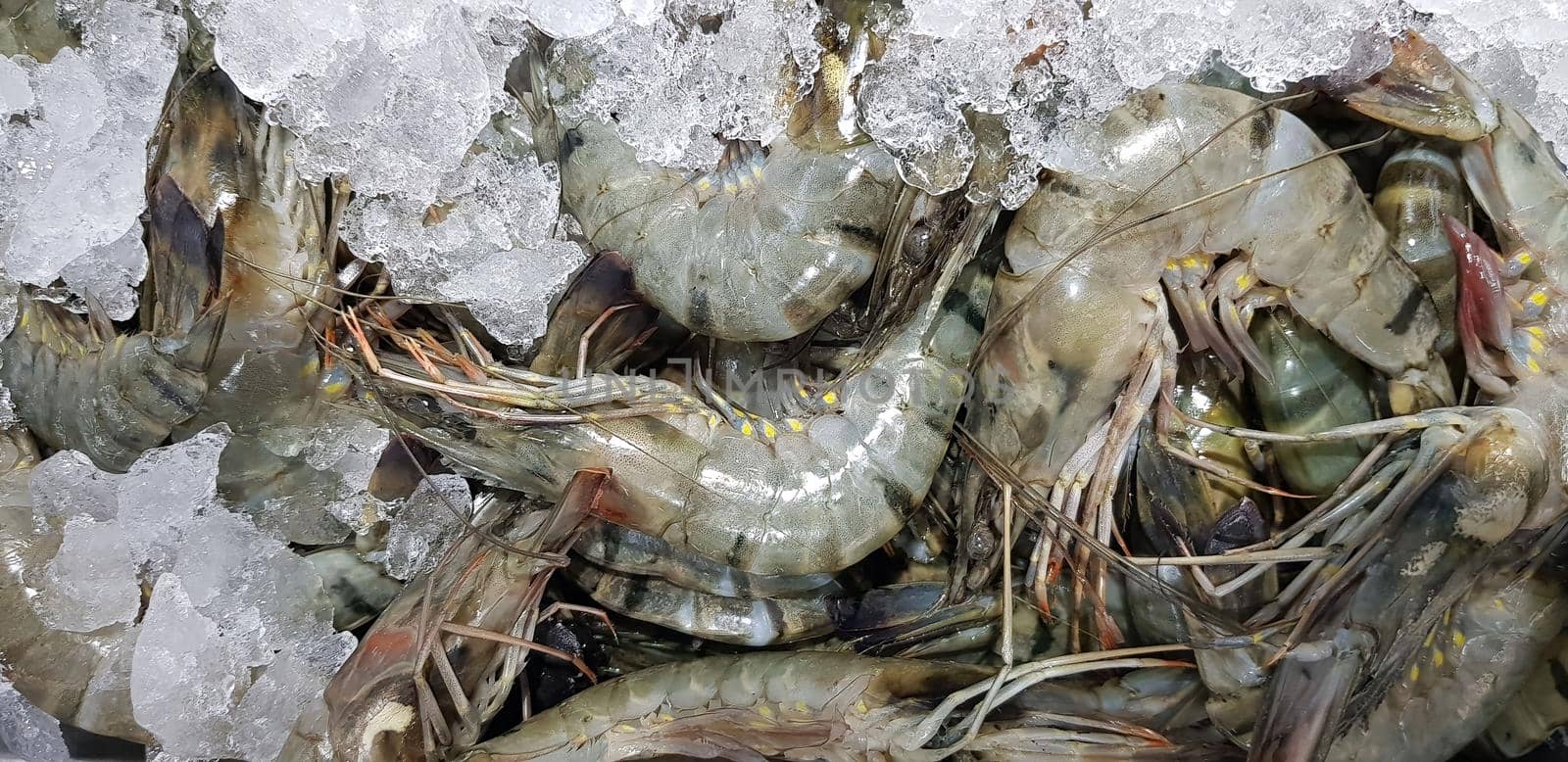 Fresh shrimp raw shrimp or crustacean or crustaceae from the market in indonesia