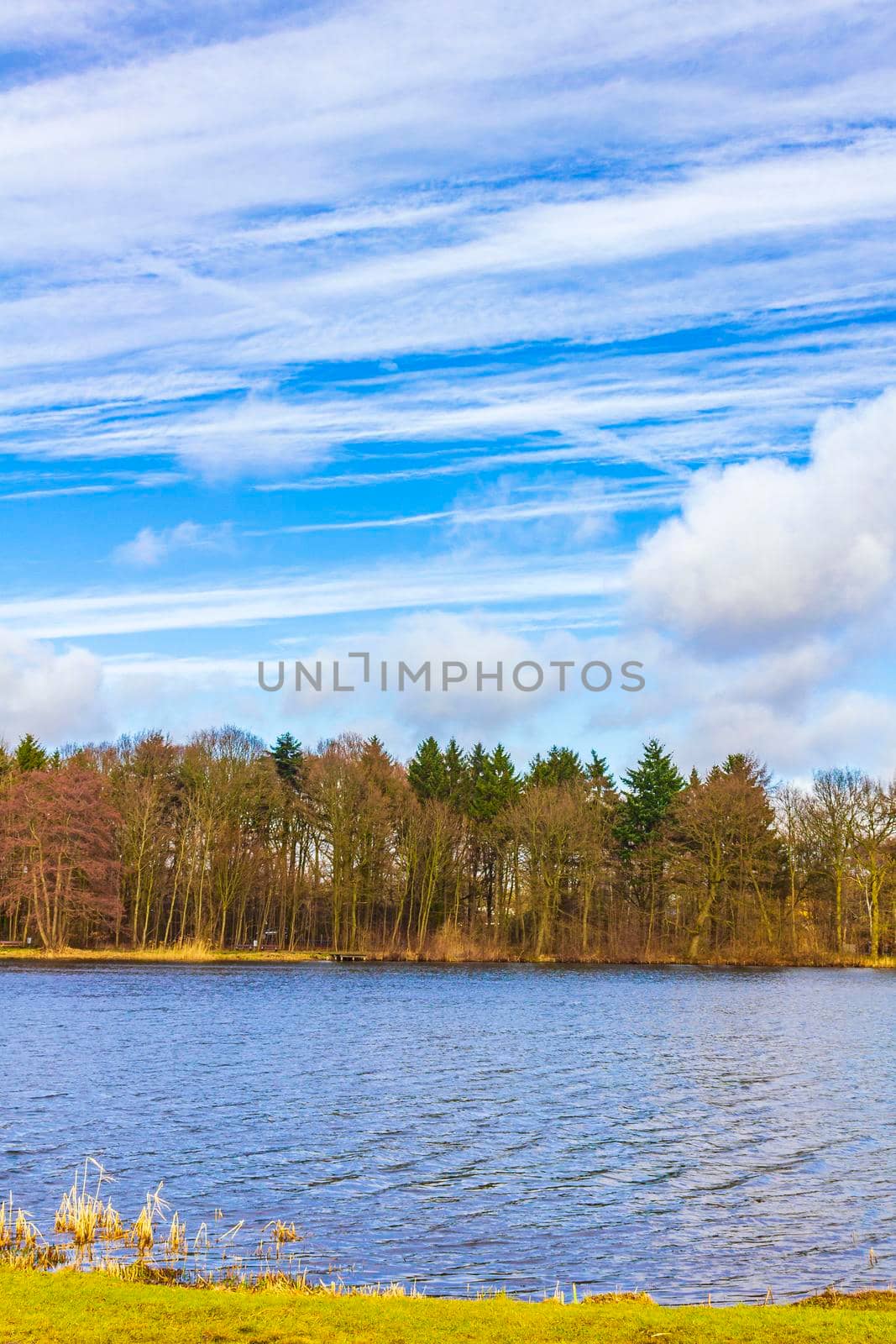 Natural panorama view lake pathway green plants trees forest Germany. by Arkadij