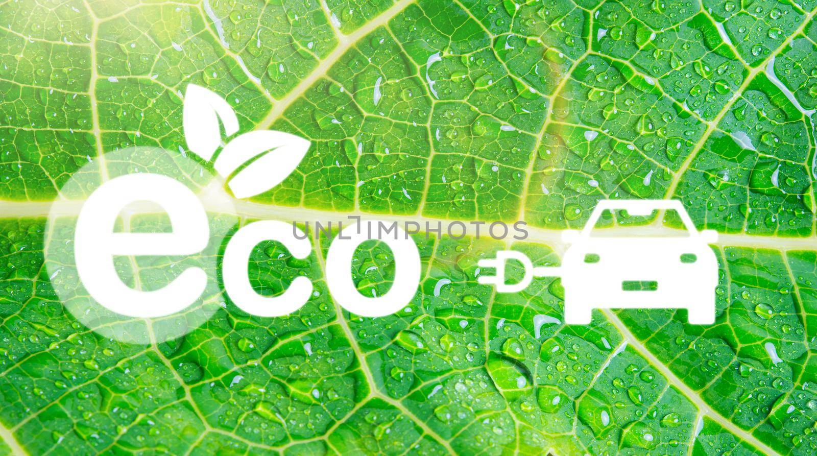 Electric car and Eco environment Icons shape on green leaf by Sorapop