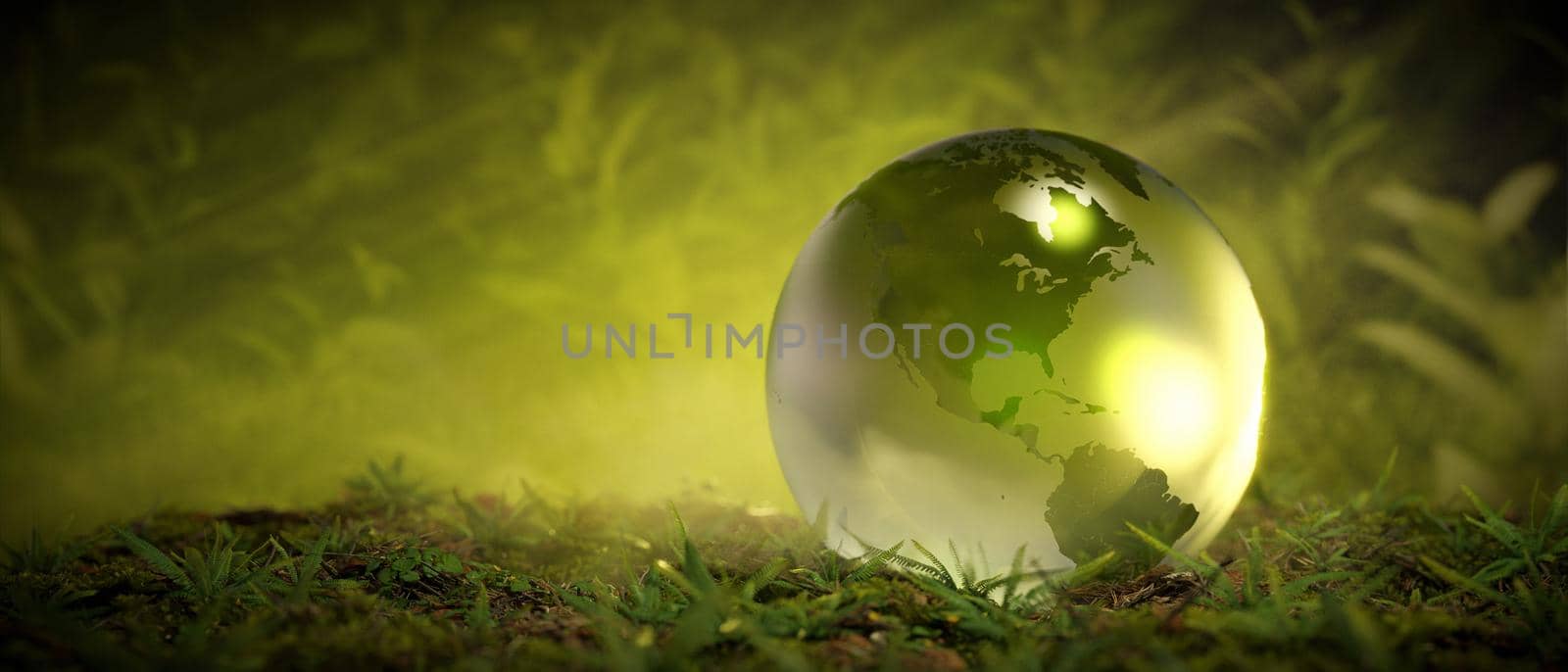 Crystal globe glass on grass moss ferns. Environment concept 3D Render by yay_lmrb