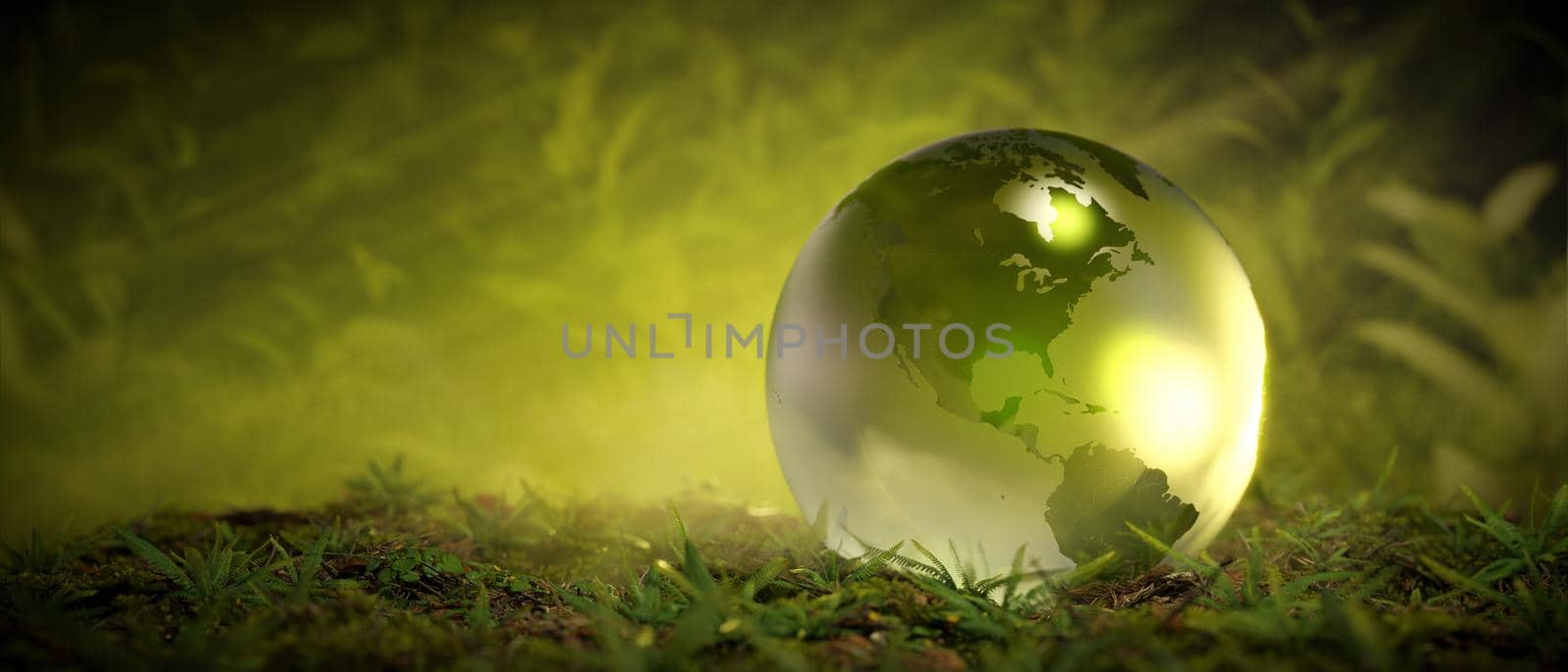 Crystal globe glass grass moss ferns. Environment concept 3D Render