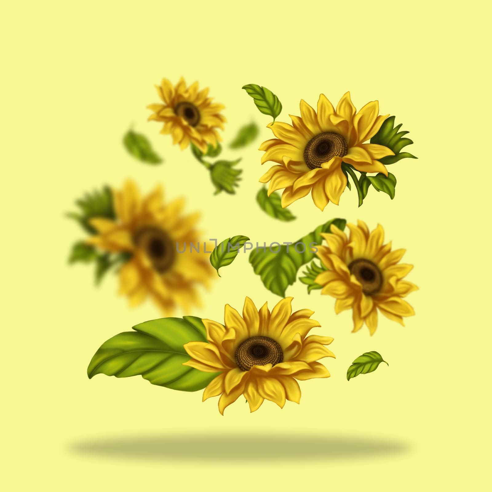 Illustration of sunflower flowers. Flowers freely levitate in space. Bright flowers on a light background. Summer, sunflowers.