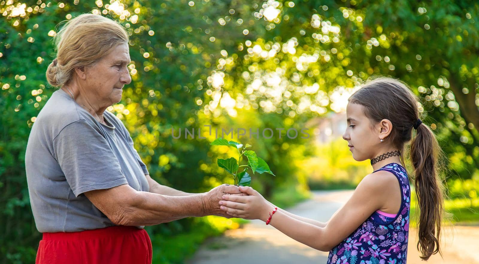 The child and grandmother are planting a tree. Selective focus. Kid.
