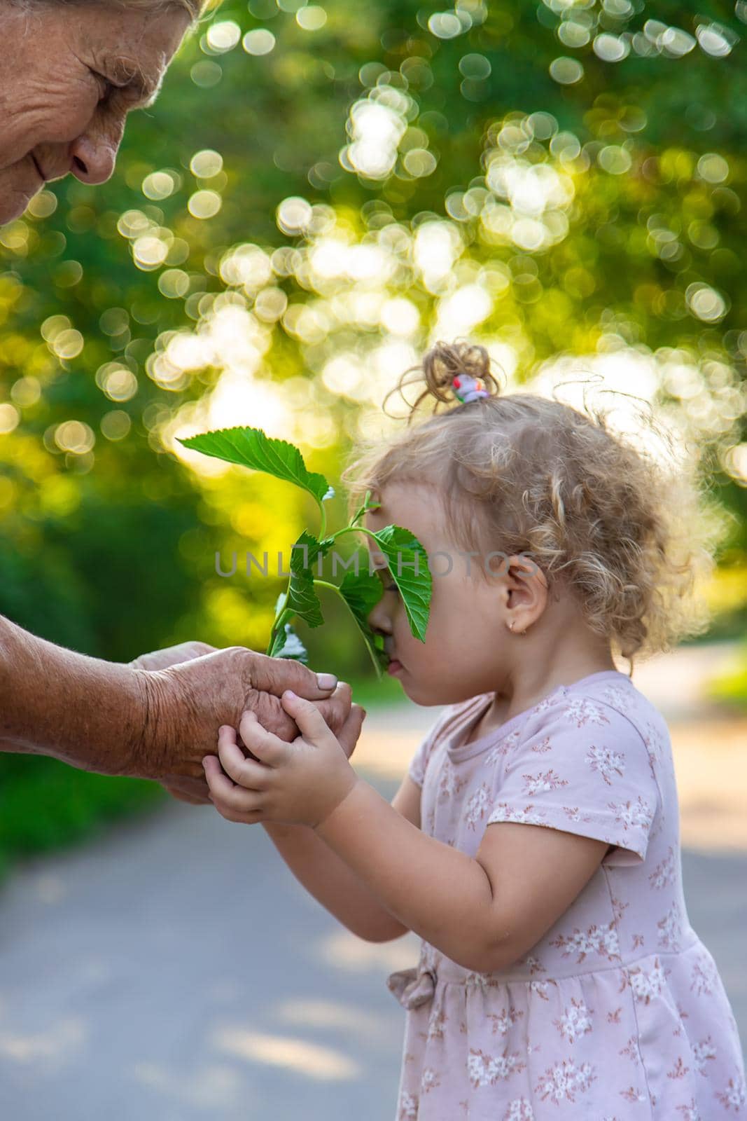 The child and grandmother are planting a tree. Selective focus. Kid.