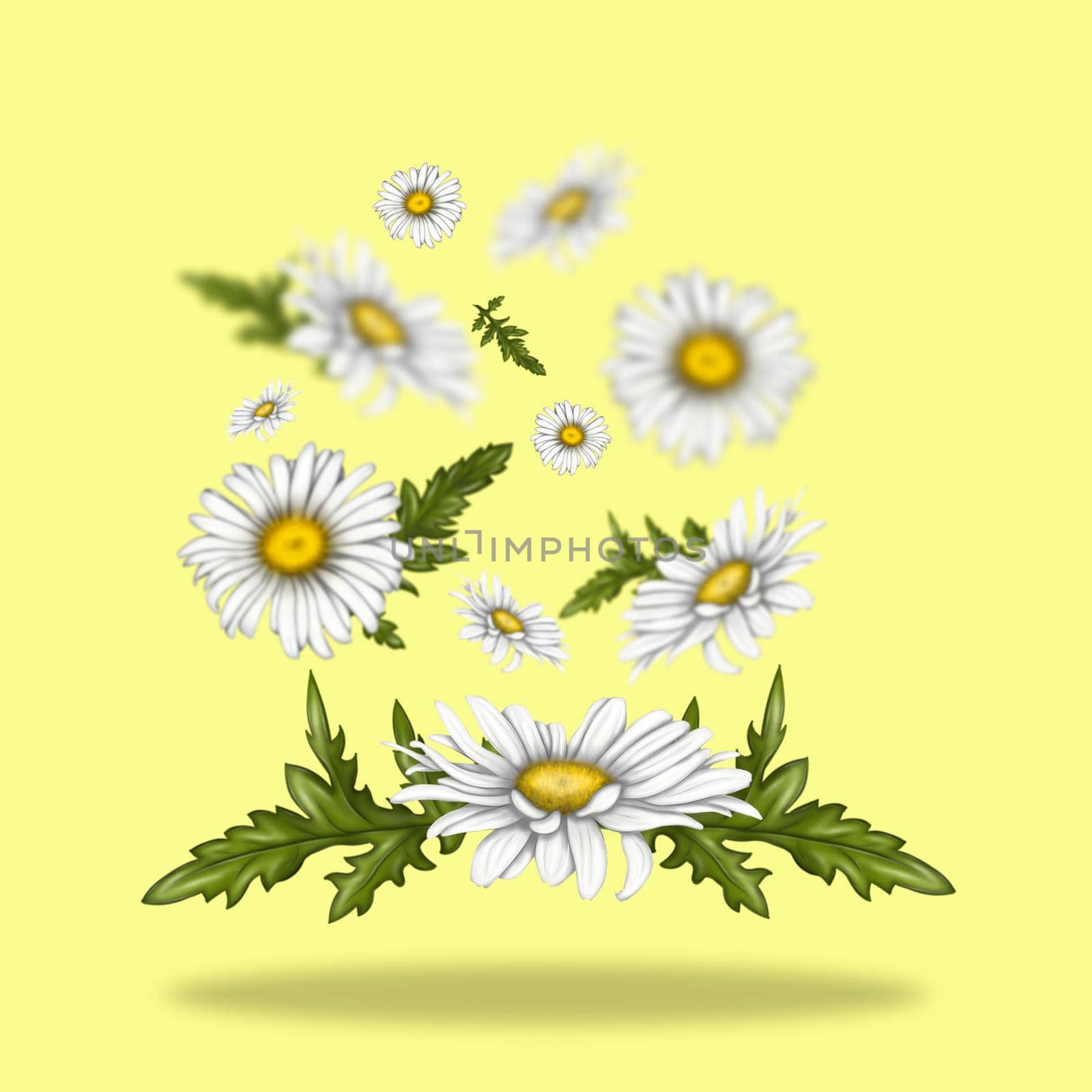 Illustration of chamomile flowers. Flowers float freely in space. White flowers on a light background.  by Alina_Lebed