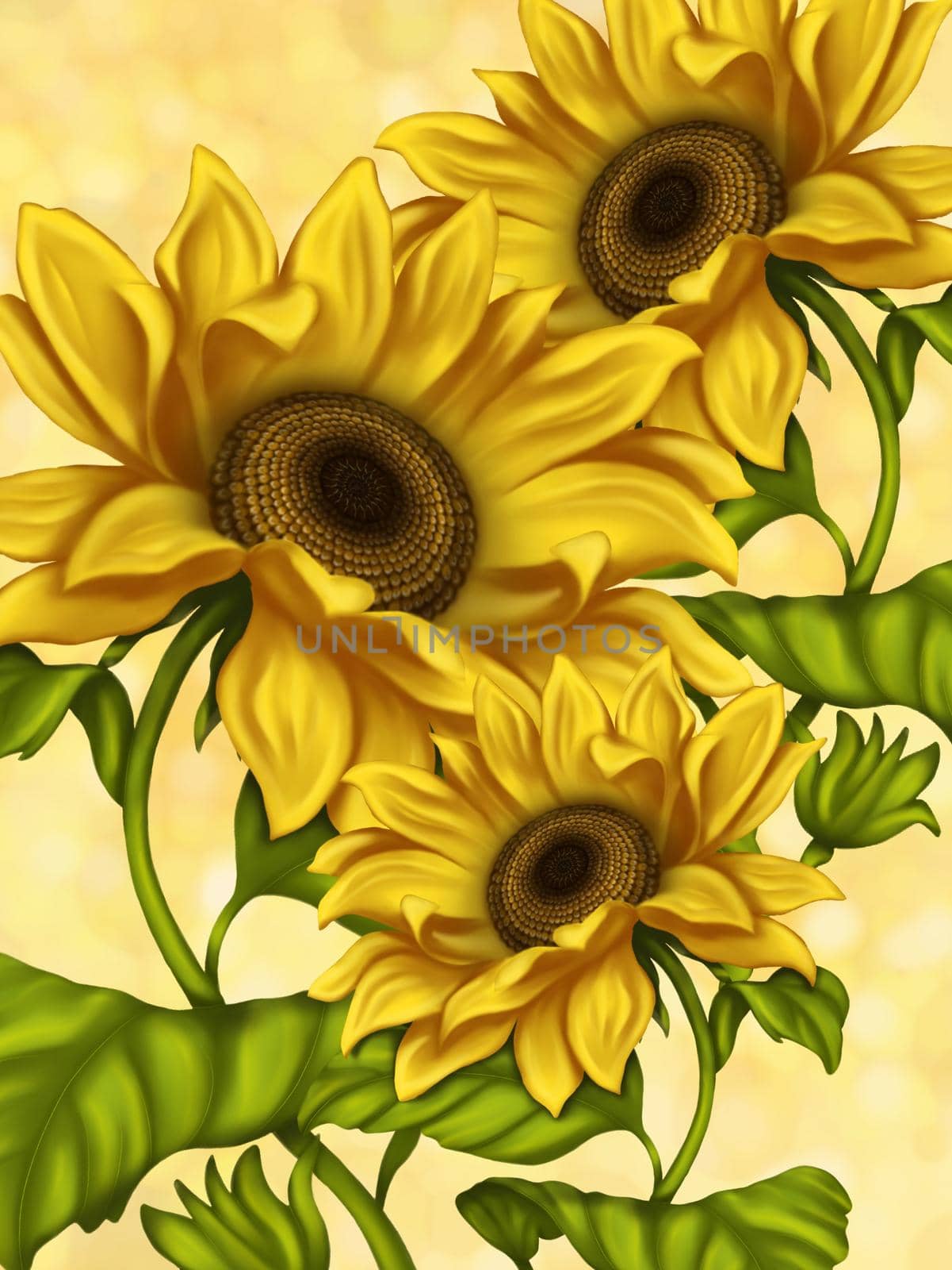 Illustration of sunflowers. Background for the design of the postcard. Illustration of flowers. Bright flowers on a light background. Summer.