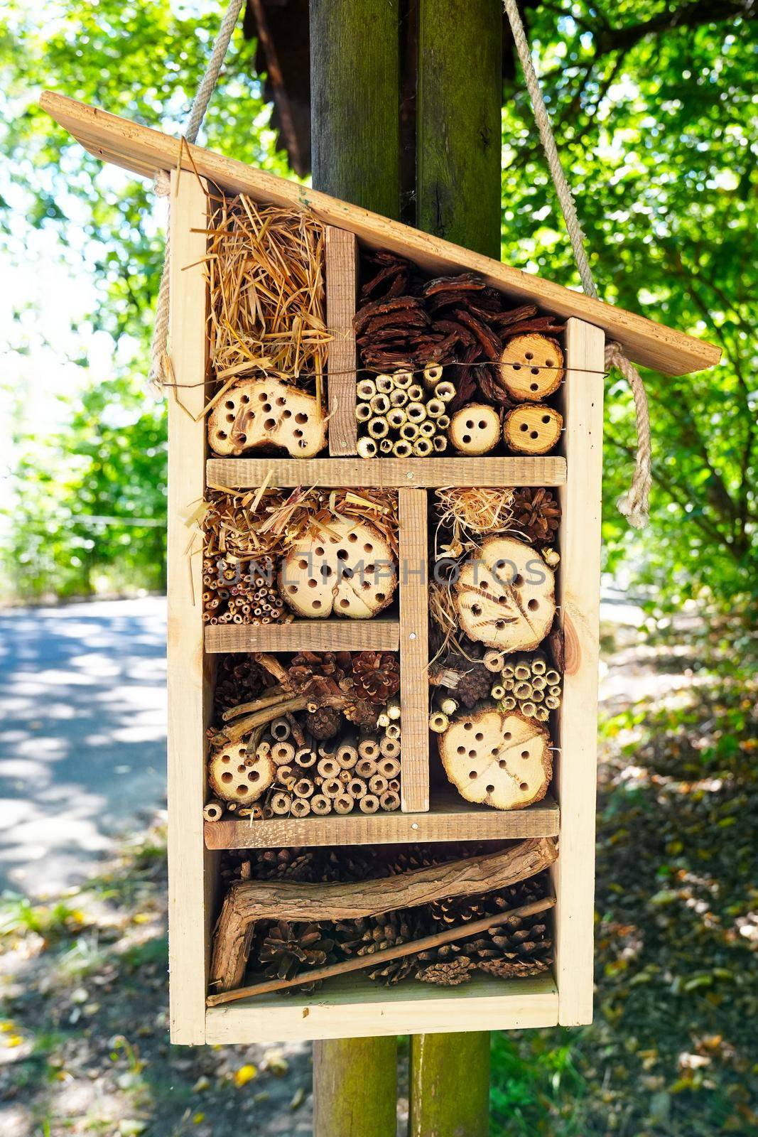 insect hotel. wooden insect house hanging from tree by PhotoTime