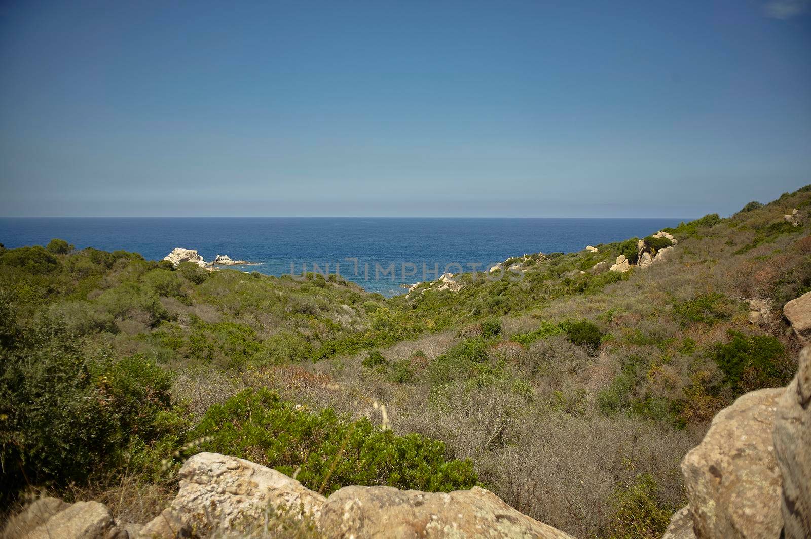 Landscape with rocks, typical Mediterranean vegetation and the background sea to the horizon.