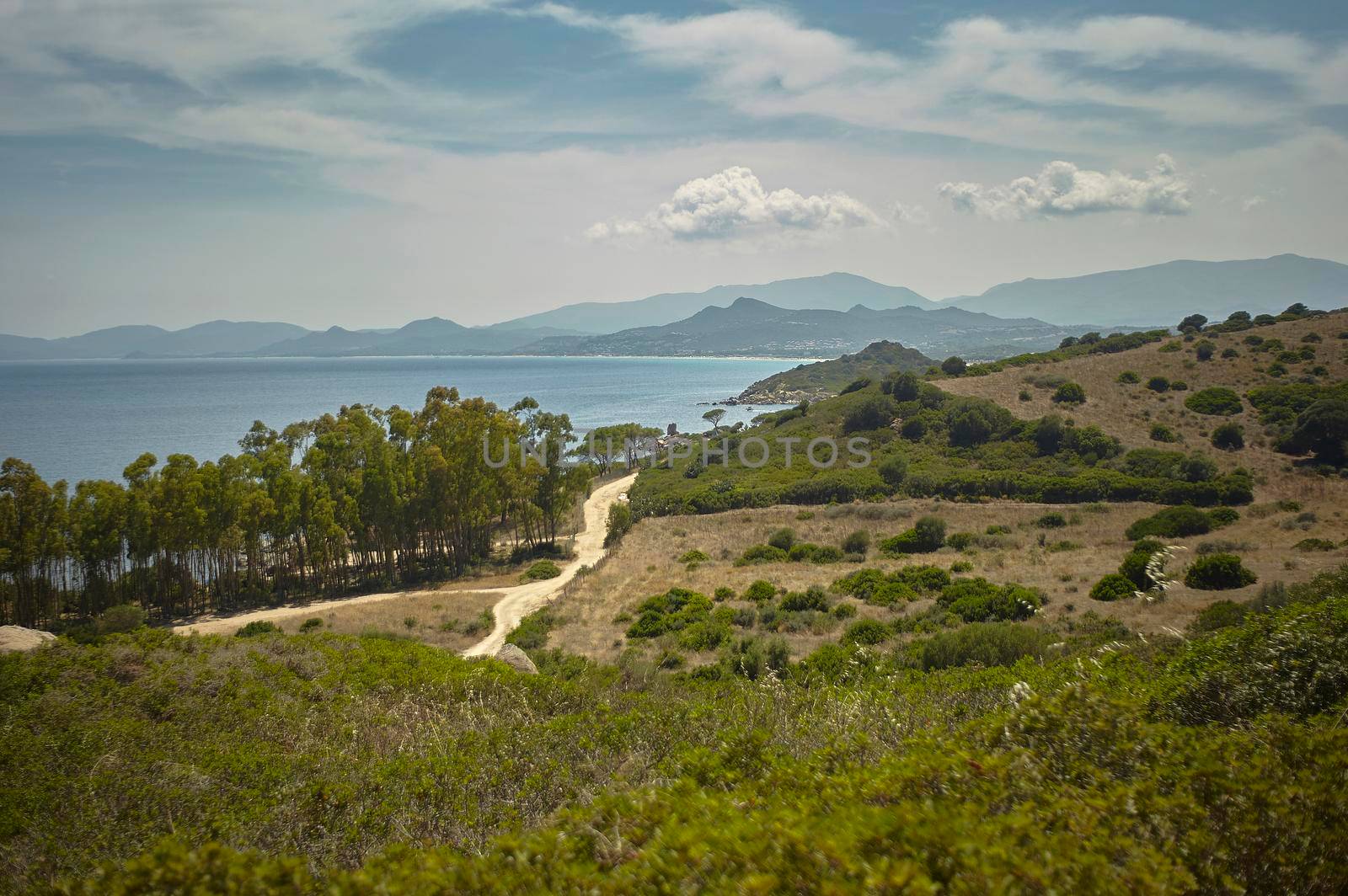 Wonderful panorama containing shrubs and typical Mediterranean vegetation with trees, a dirt road that leads to the sea below with the hills on the horizon.