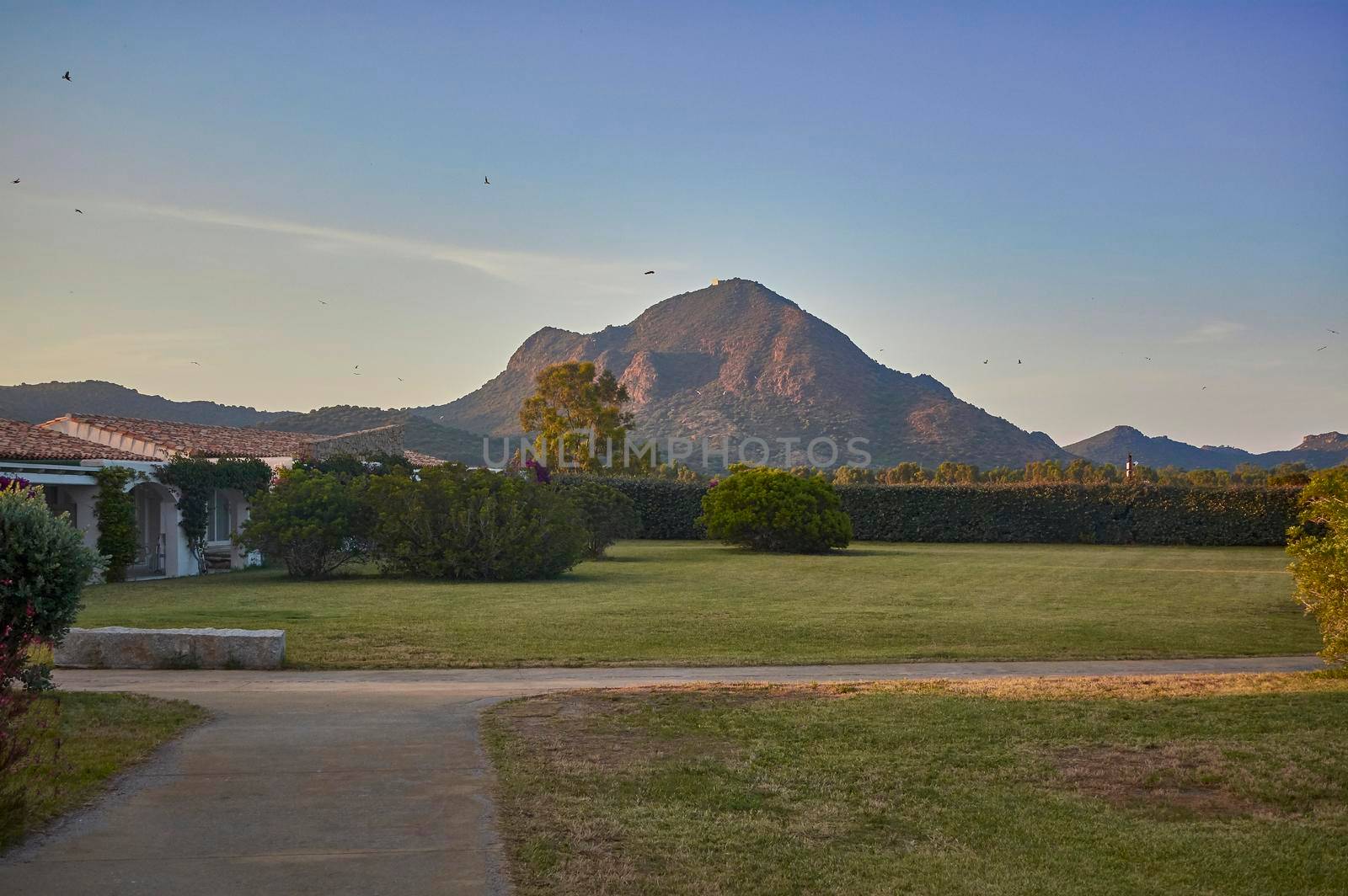 Beautiful garden with a mountain in the background and a path that crosses it: a paradise surrounded by nature in which to relax and enjoy the surrounding landscape.