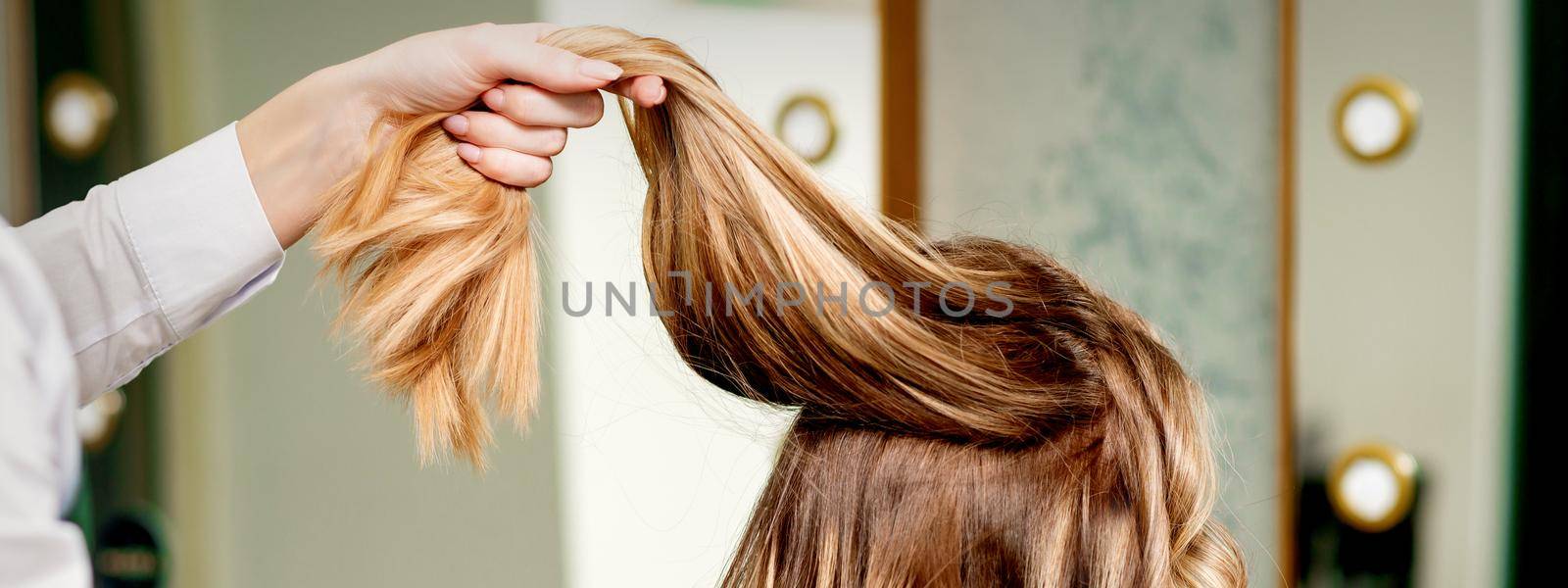 Hairdresser holds a strand of long hair of a young woman in a beauty salon