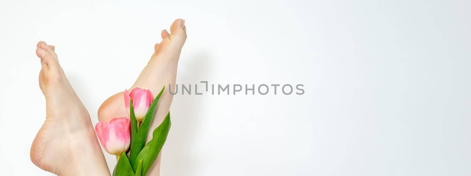 Beautiful slim smooth woman's legs with tulips flowers on white background
