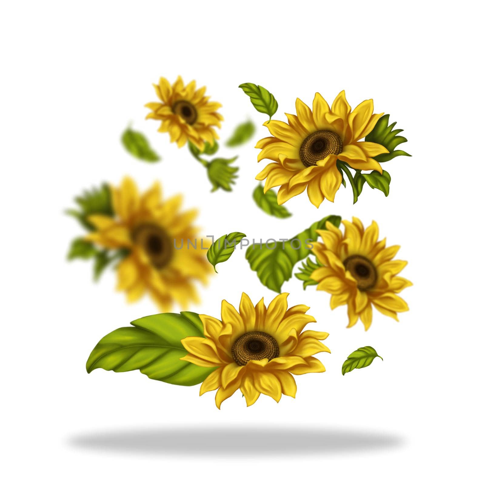 Illustration of sunflower flowers. Flowers freely levitate in space. Bright flowers on a light background. Summer, sunflowers.