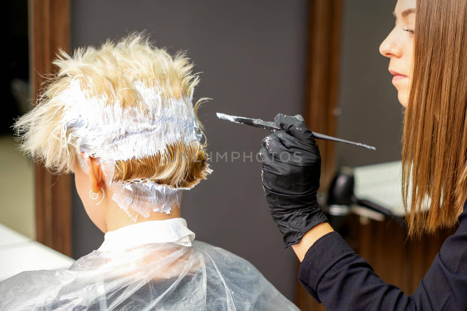 Female hairdresser dyeing short blonde hair of a young woman in a hair salon