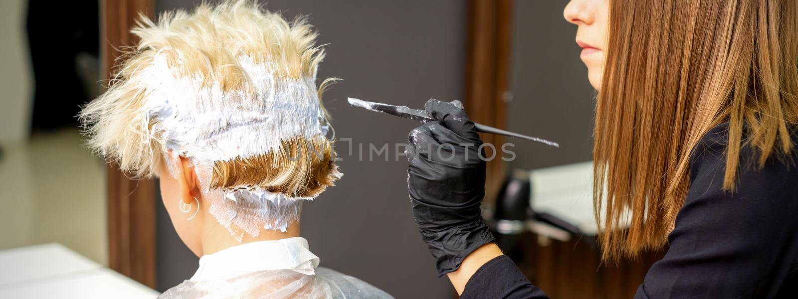 Female hairdresser dyeing short blonde hair of a young woman in a hair salon