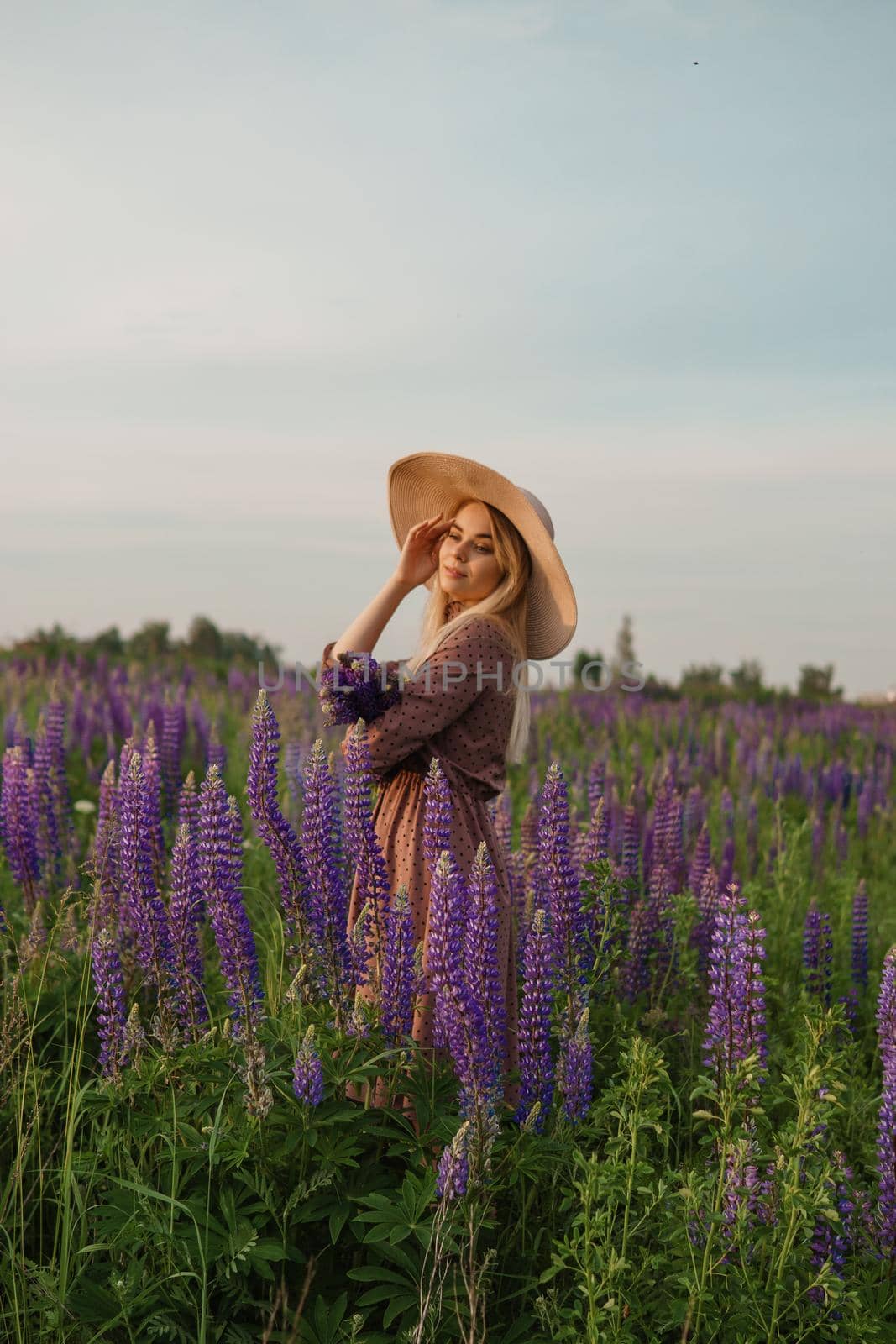 A beautiful woman in a straw hat walks in a field with purple flowers. A walk in nature in the lupin field.