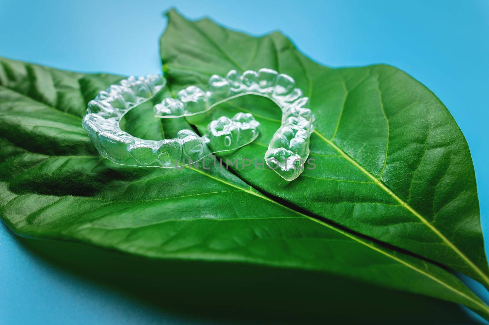 Invisible modern removable braces or aligners for teeth on a blue background with green leaves.